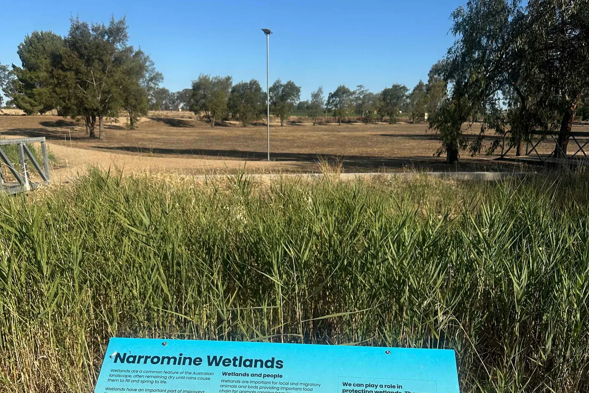 <p>Narromine\\'s prized wetlands are dry in several places after low rainfall and a very hot summer. Photo: Dubbo Photo News</p>\\n