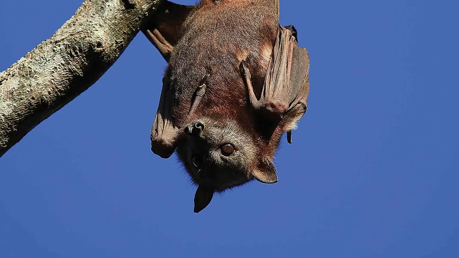 Stop your summer having a sting to it