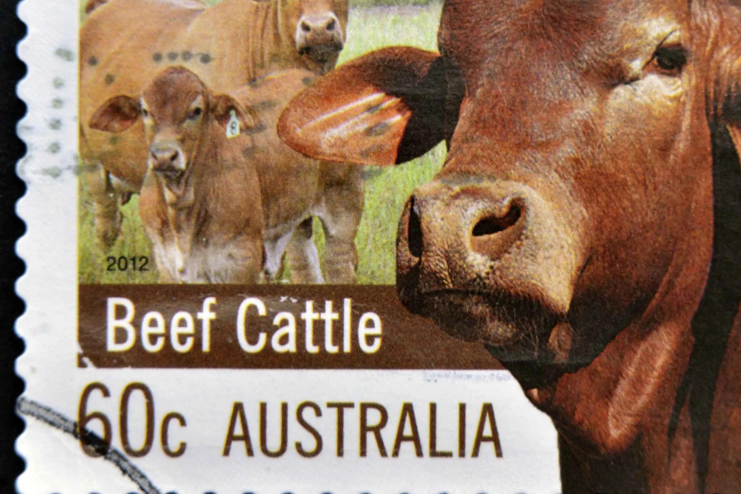 Aussie meat in high demand despite international beef