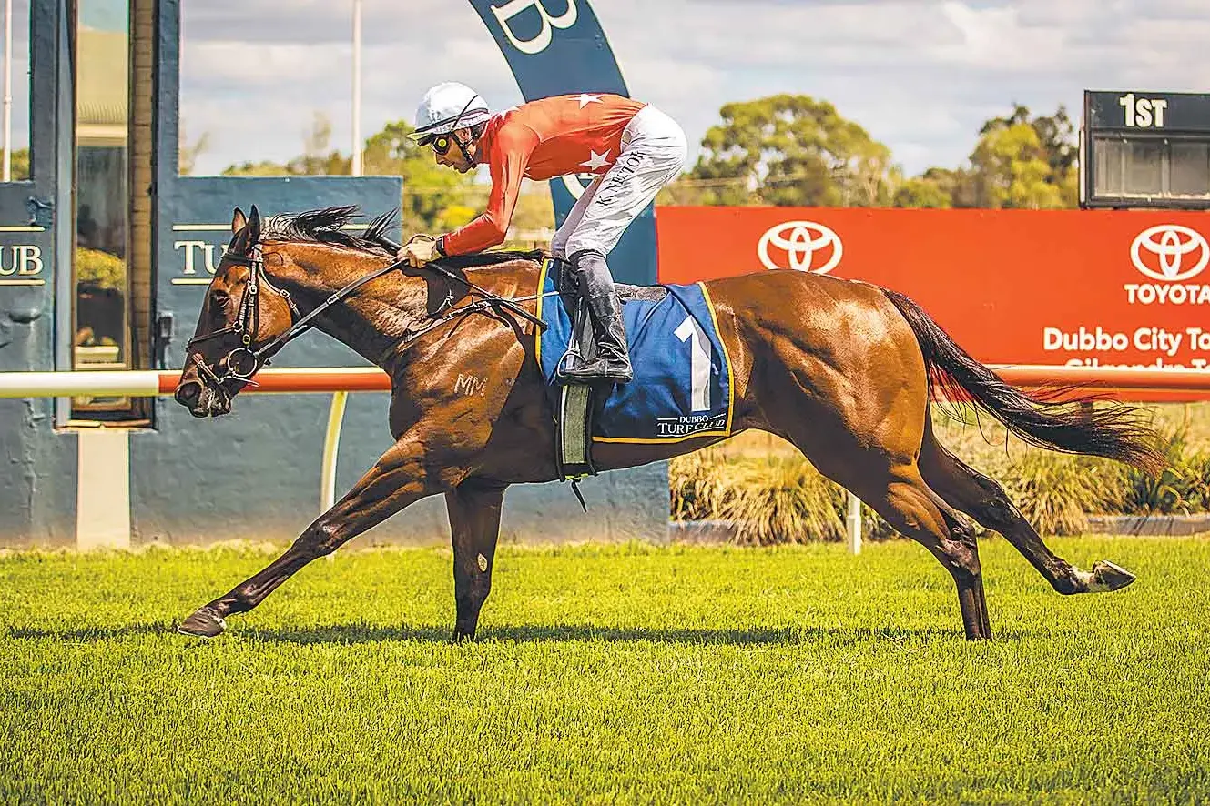 <p>Blue De Beers, ridden by Kody Nestor and trained by Clint Lundholm, winning Race 4 at Dubbo Turf Club on Sunday. PHOTO: RACINGPHOTOGRAPHY.COM.AU</p>\\n