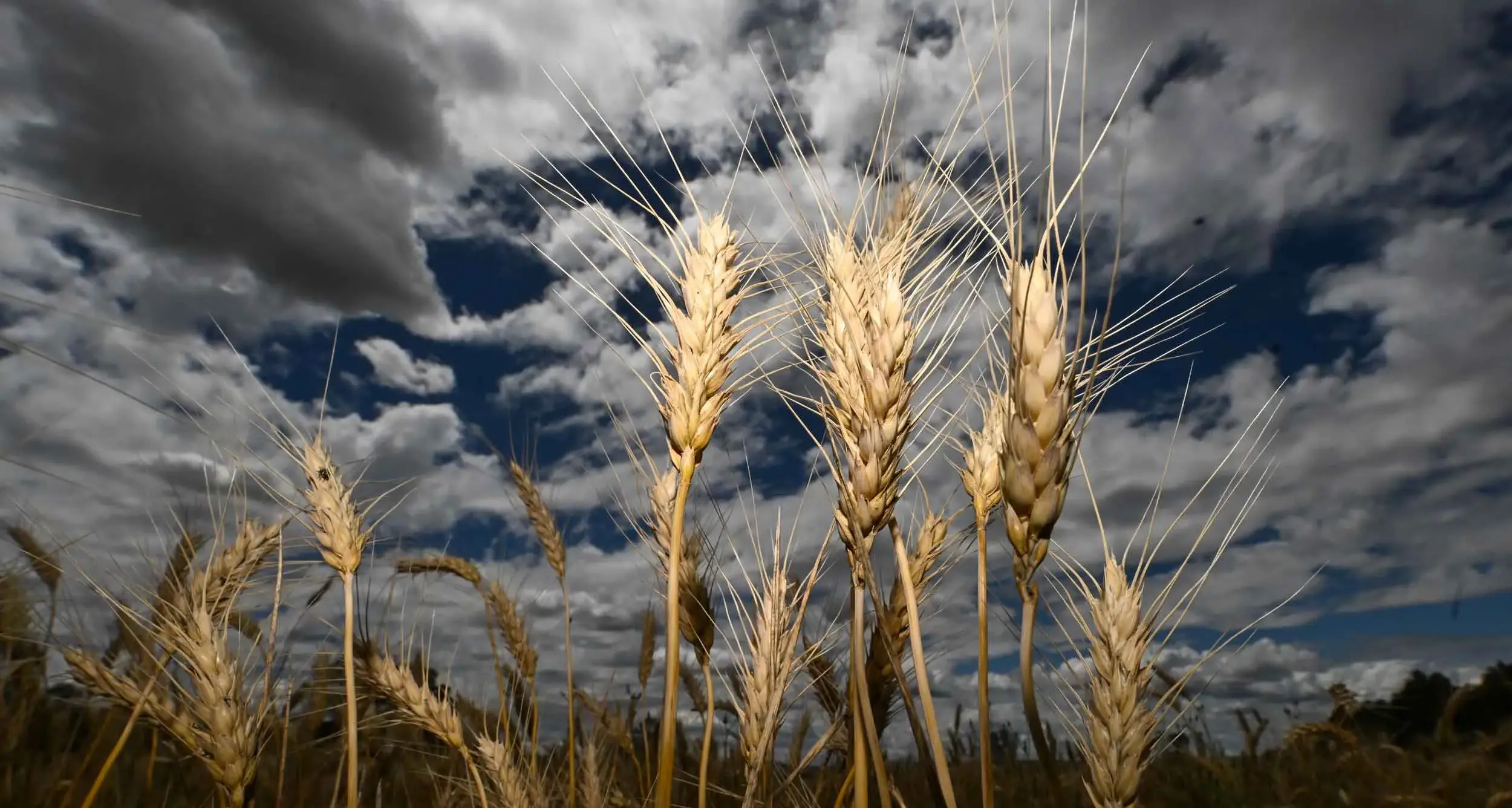 Agriculture hits $100b, but what goes up must come down