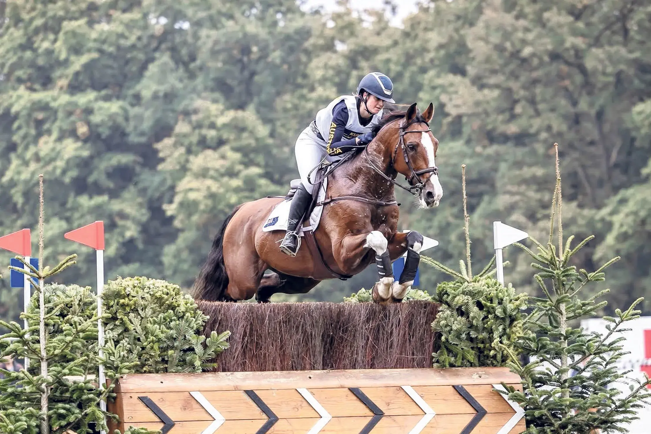 <p>From a long line of local horse-lovers, Olivia Barton is in Belgium, living her equestrian dream. Photos: Supplied</p>\\n