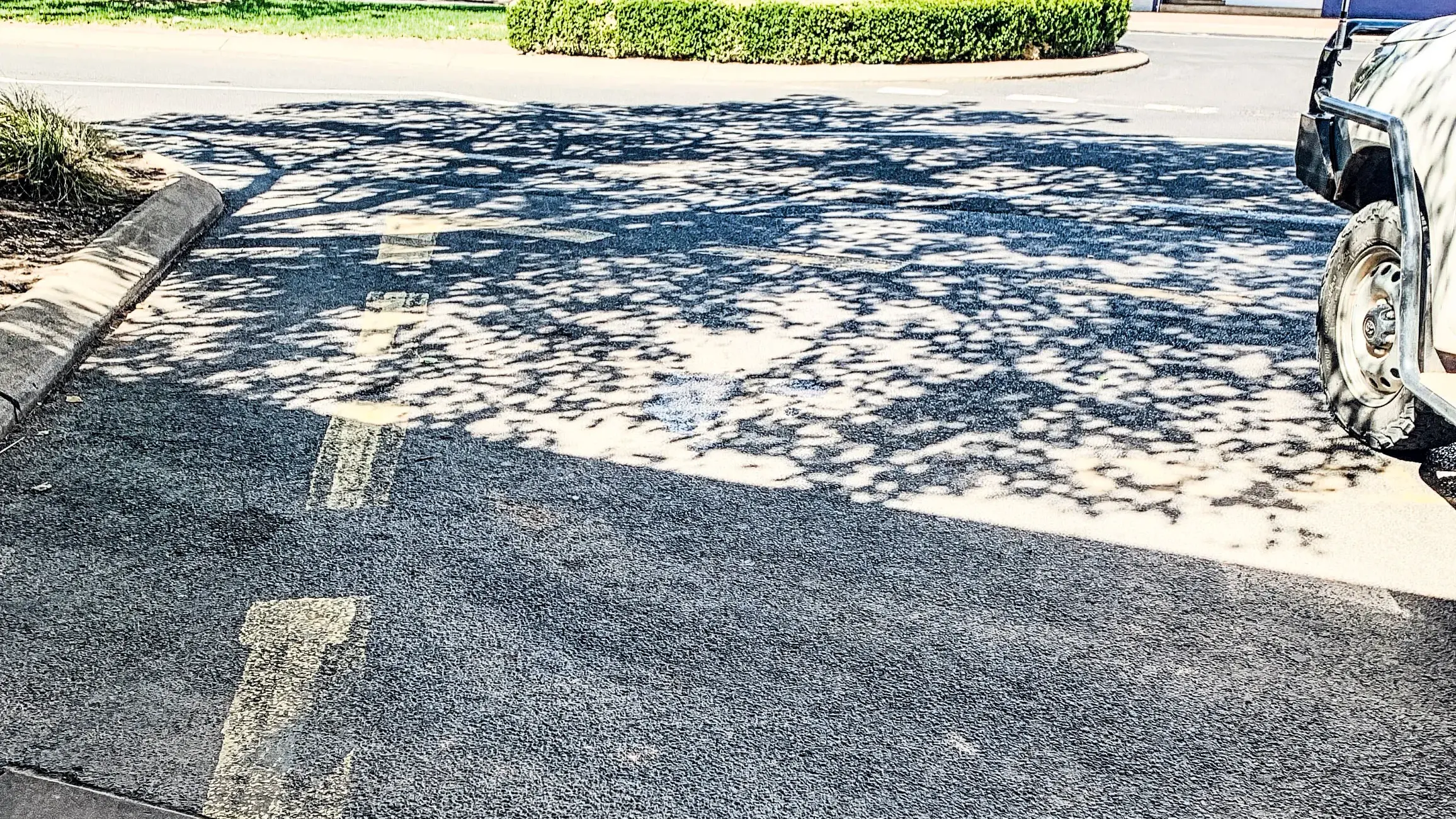 Western Council mayors support call to reduce barriers to local taxi services