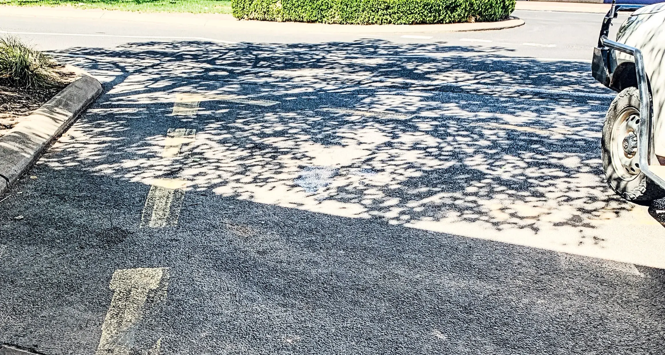 Western Council mayors support call to reduce barriers to local taxi services