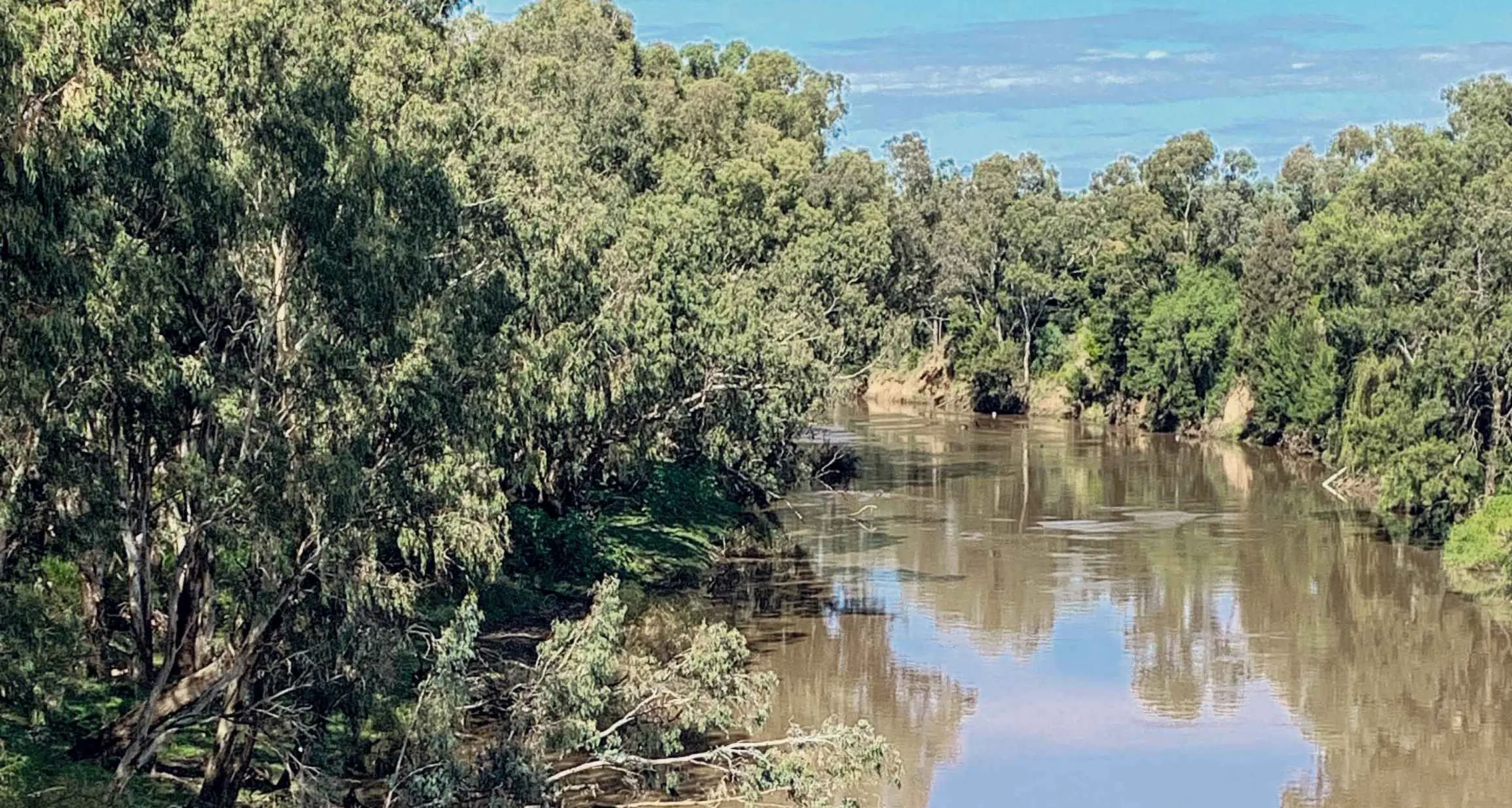 Local Murray-Darling Basin plan review info session
