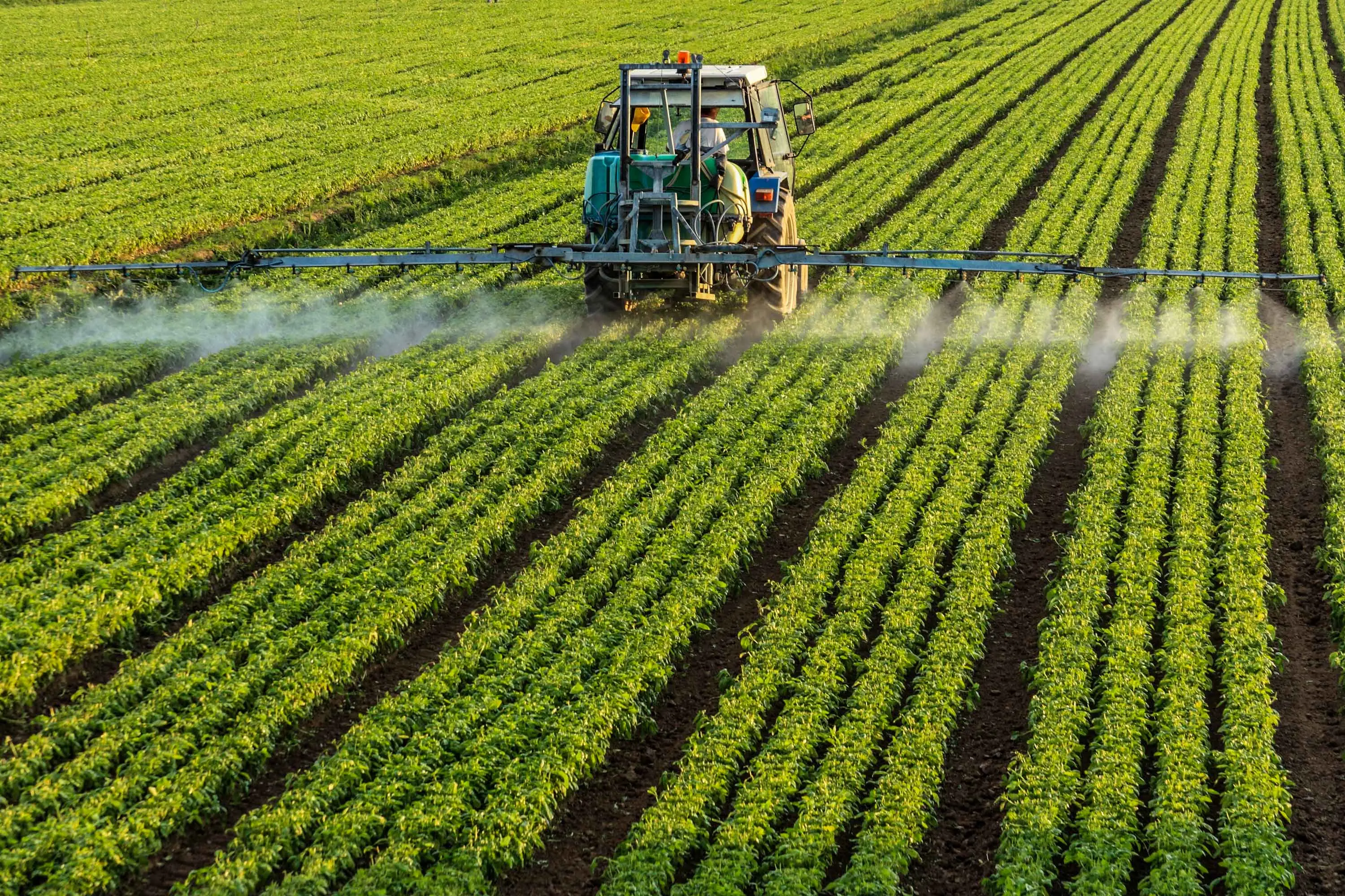 <p>Exposure to agricultural pesticides could be behind a rise in motor-neurone disease, experts warn.</p>\\n