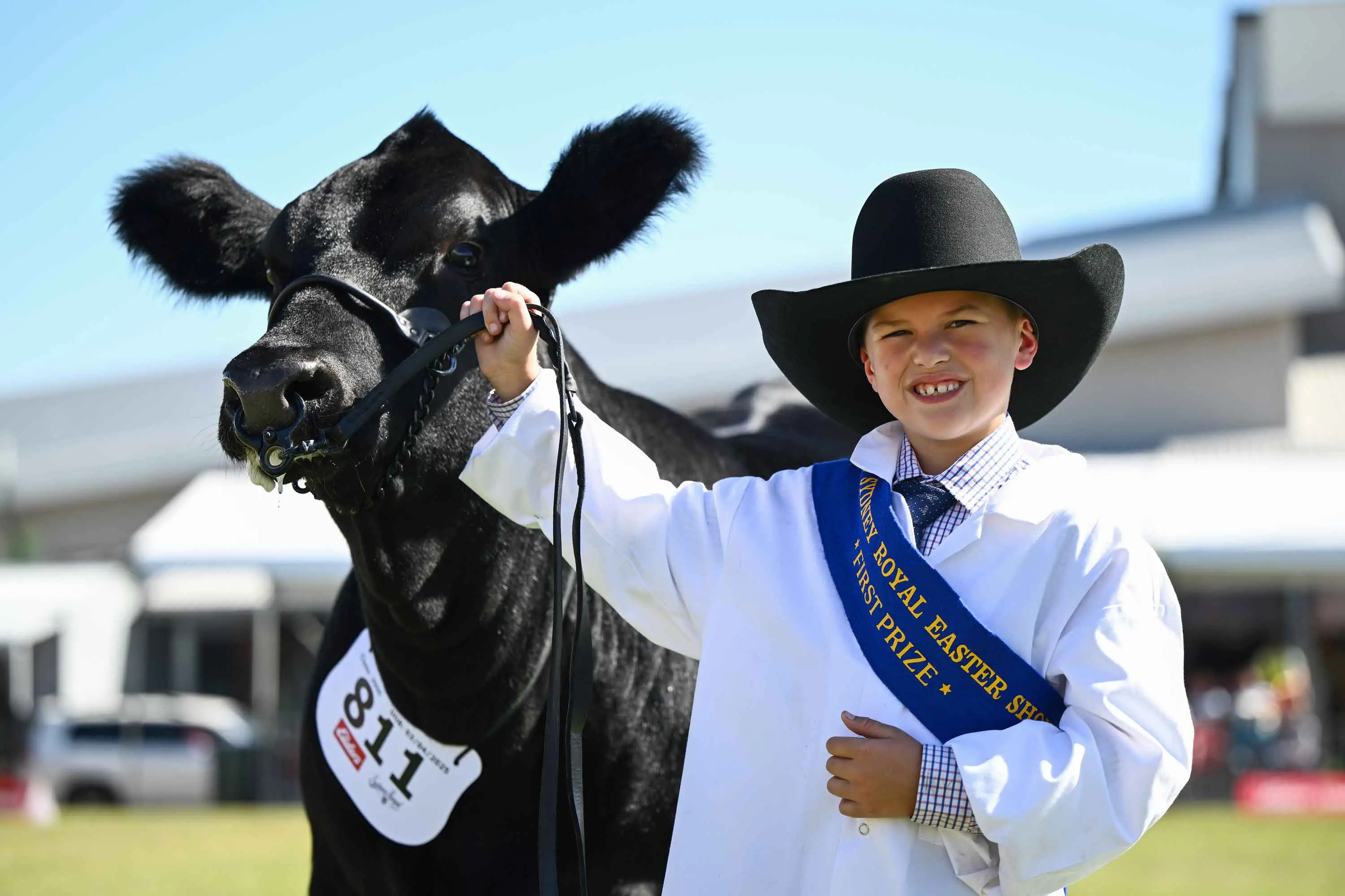 <p>Eight-year-old junior cattle parader Isaac Hobbs from Molong is an early winner at the 2026 Royal Easter Show. Photo: AAP/Bianca De Marchi</p>\\n