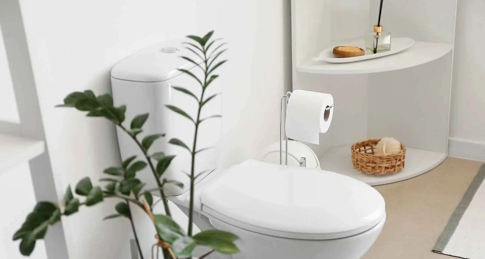 Low-flow toilets offer simple solution to cut household water use