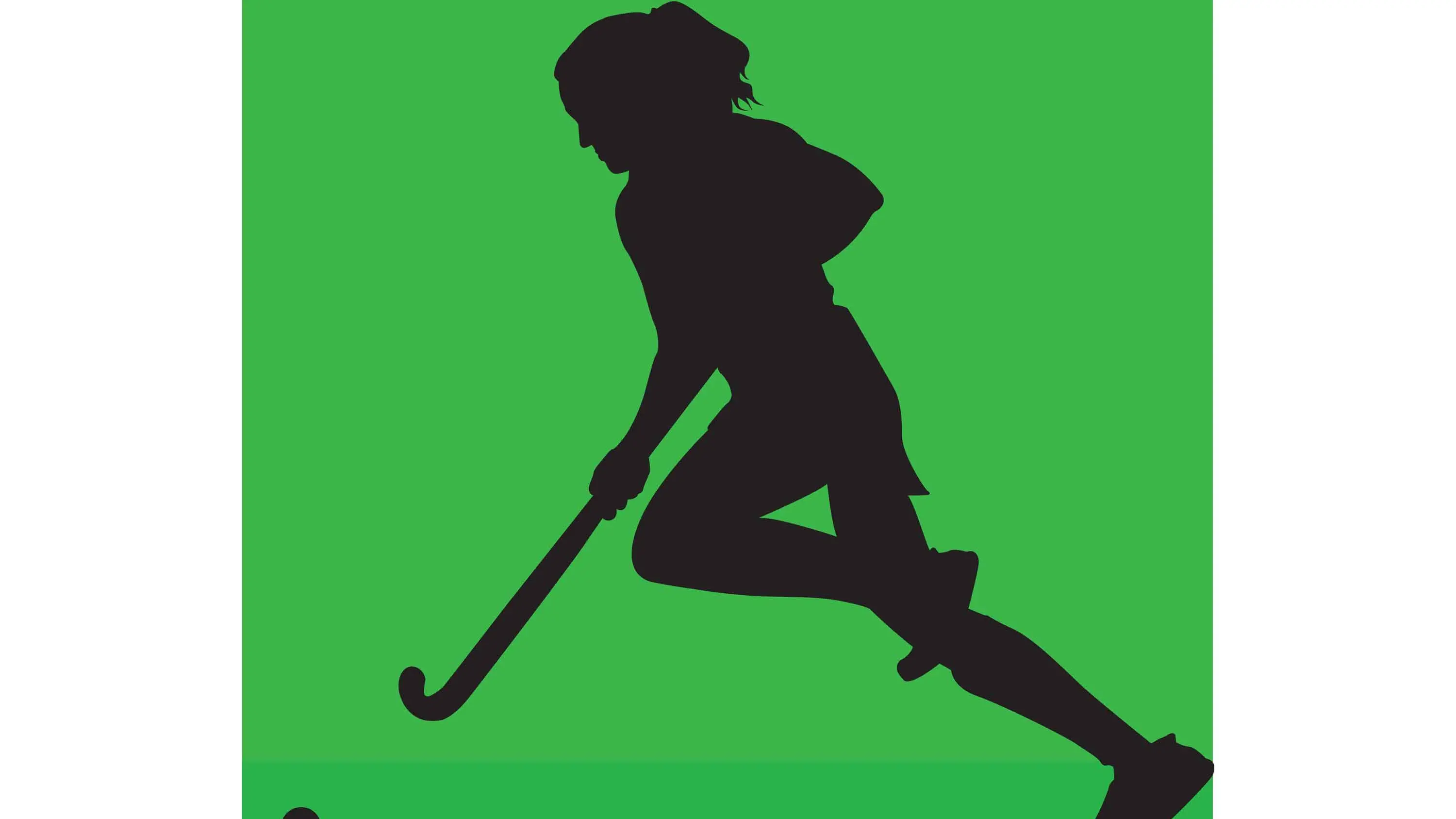 Masters’ hockey stars, guests and supported by Dubbo Rotary Club
