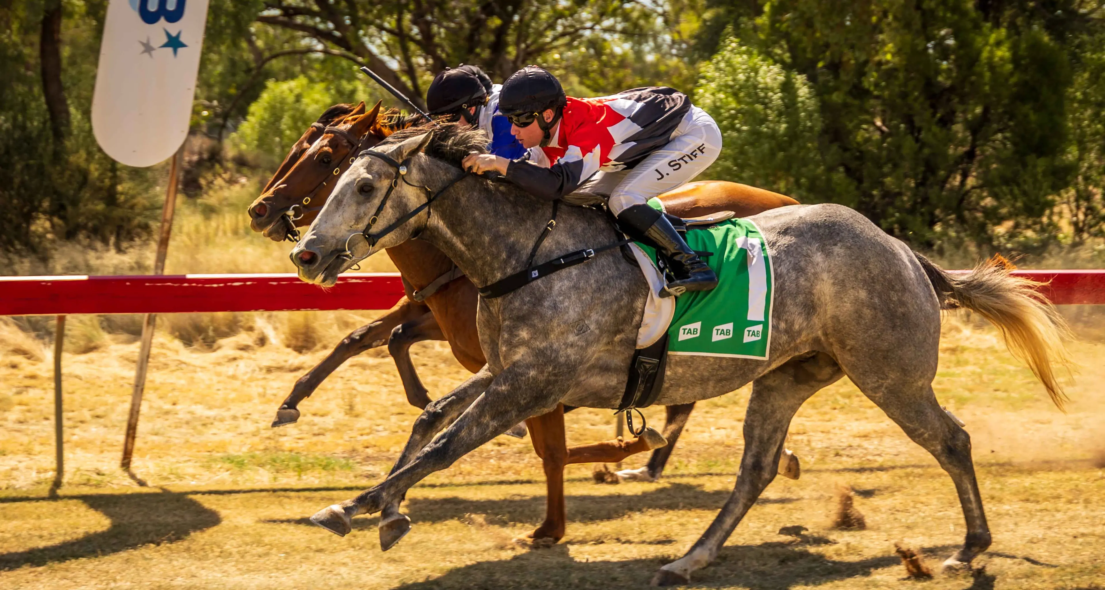 Sports snippets from around the region