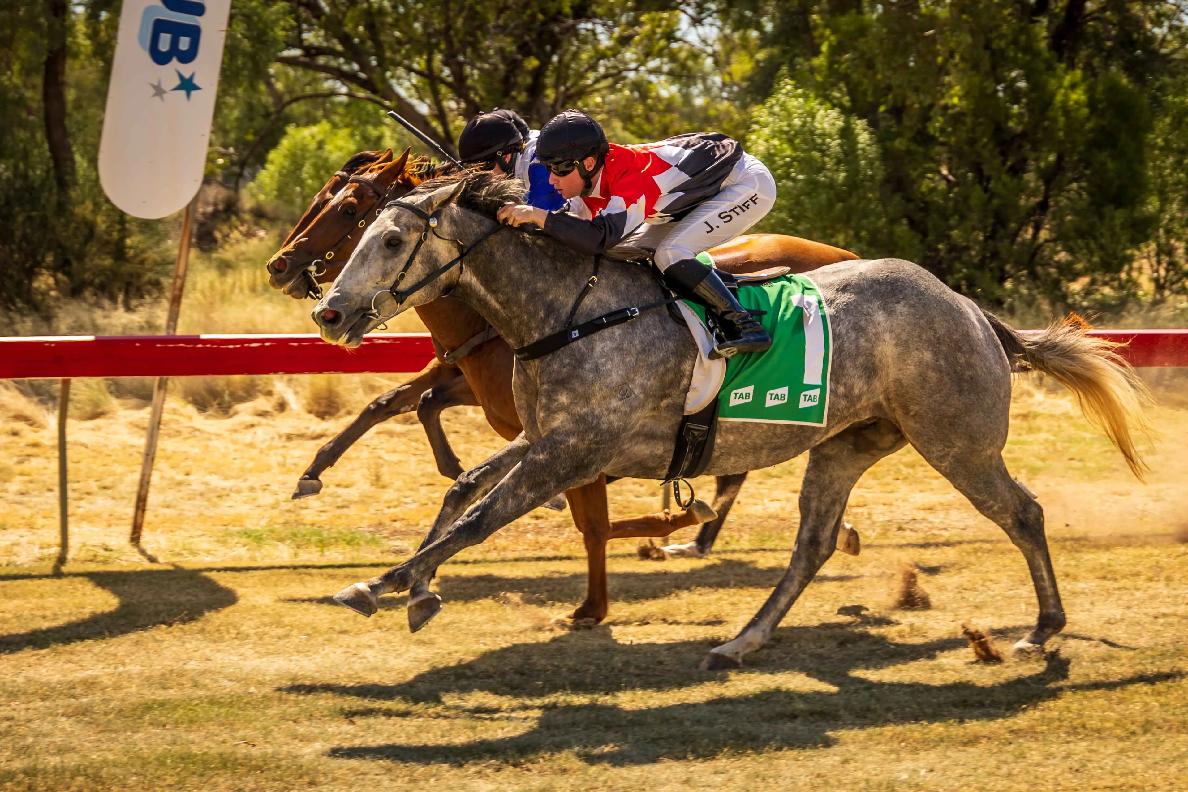 <p>A tight finish in Race 2 at the Lightning Ridge Race Club meeting on April 4 saw Johnny Boz first, ridden by Jacob Stiff, and one of Mendooran trainer Jane Clement\\'s four wins on the day. Photo: racingphotography.com.au</p>\\n