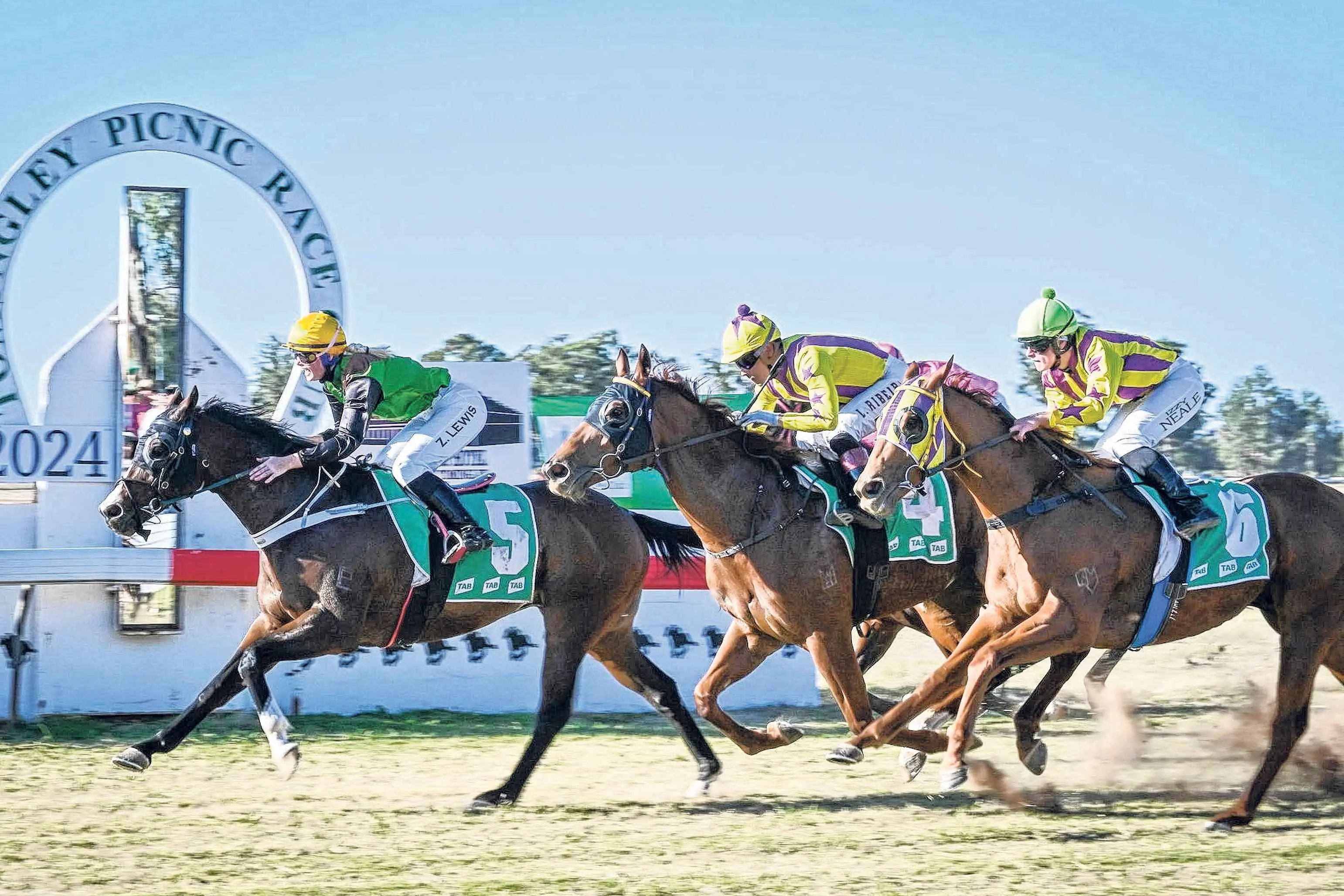 <p>With six races and good fields in all events, why not head-out to the beautiful village of Tomingley, 40 minutes south-west of Dubbo, on Saturday, April 18, for their picnic race meet.</p>\\n