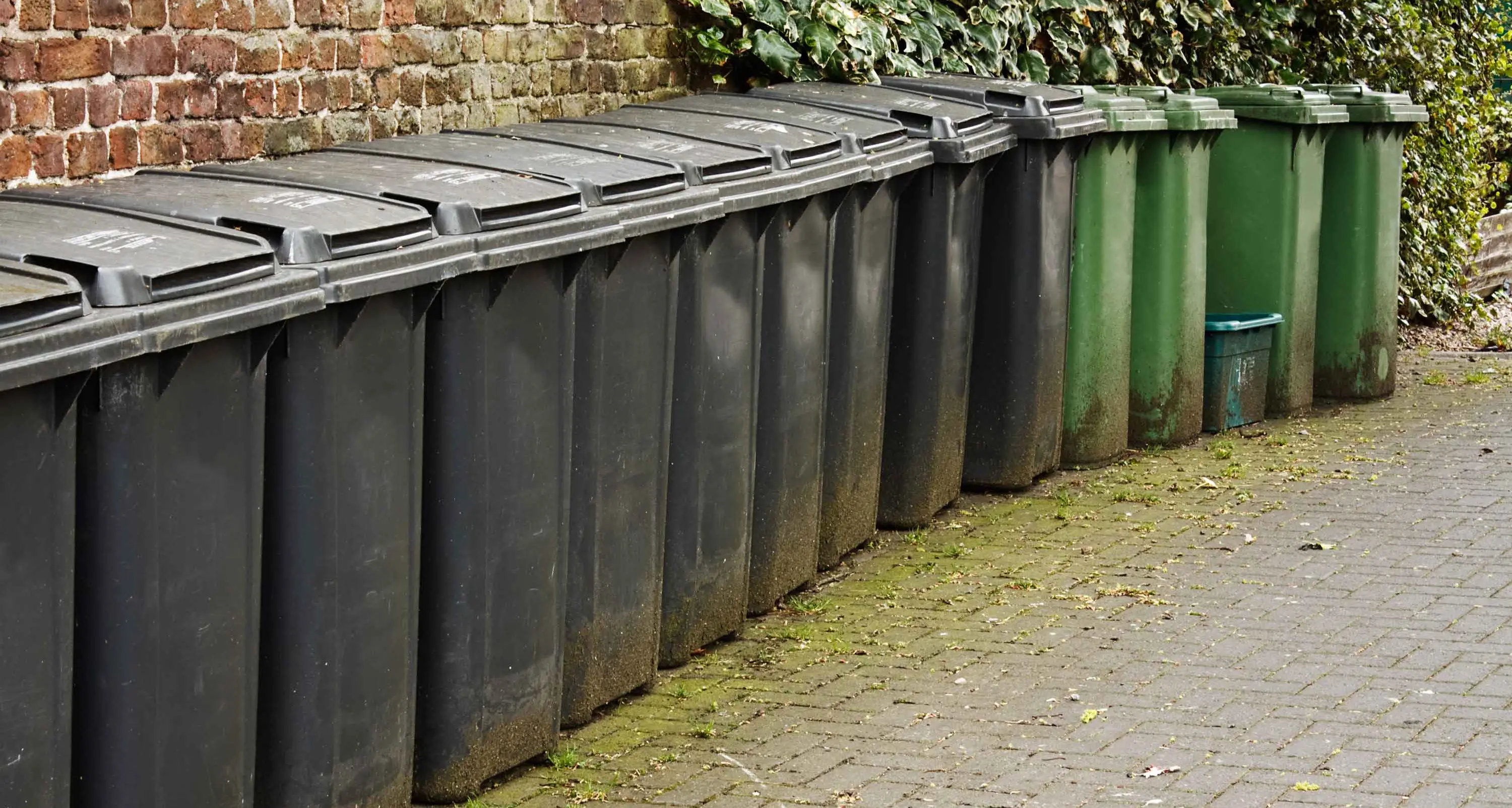 Pollies head to Parkes for inquiry into proposed energy-from-waste facilities