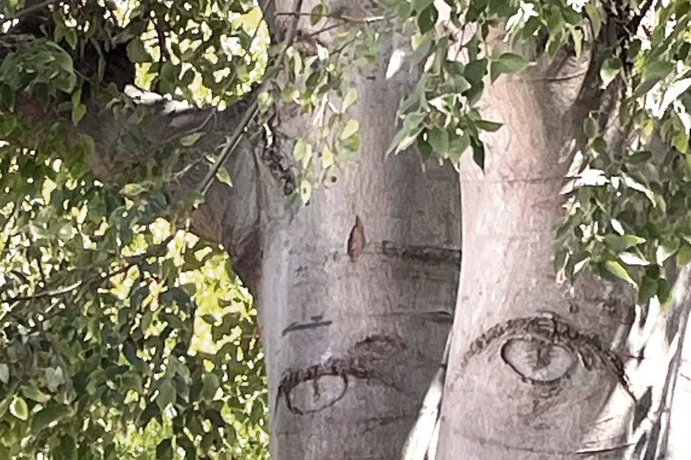 <p>Photo: Supplied. </p>\\n