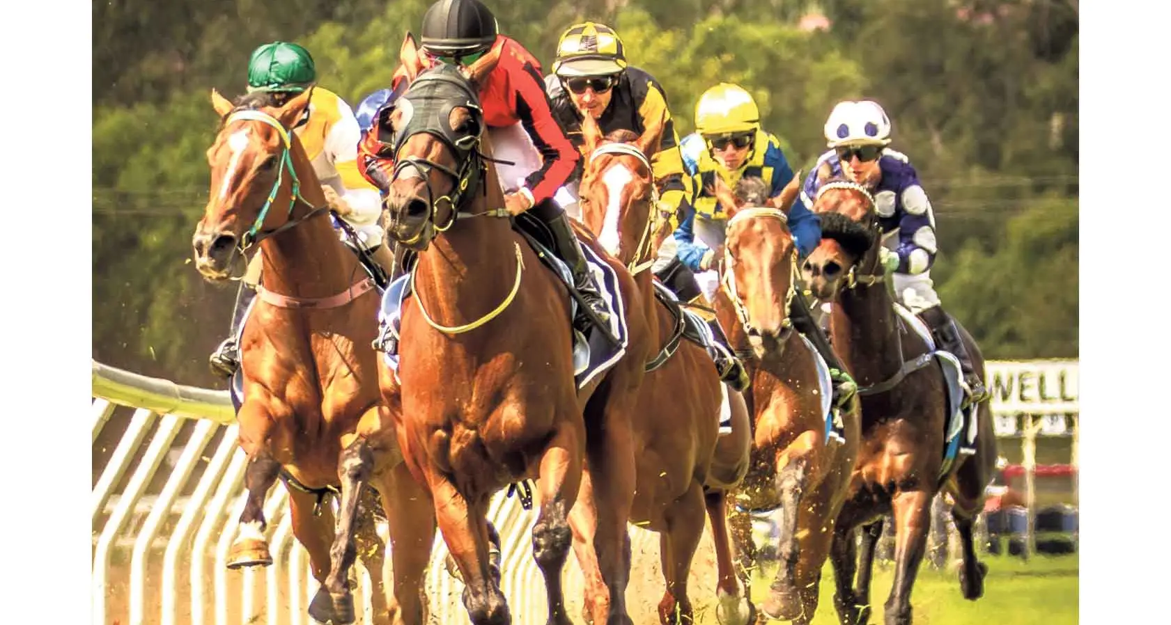 Braith bags second Wellington Boot