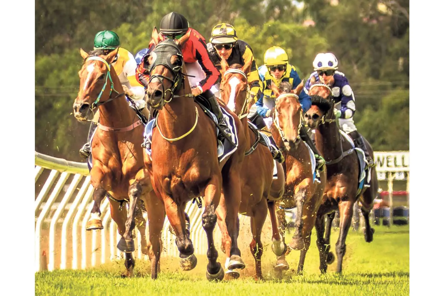 <p>Race 1 at Wellington on April 12. PHOTO: RACINGPHOTOGRAPHY.COM.AU</p>\\n