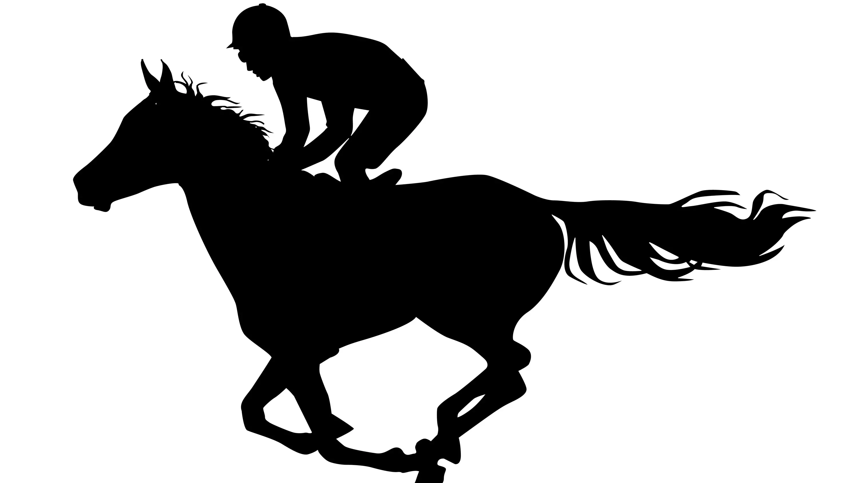 Wal's Angels wins at Bathurst RSL Soldiers Saddle