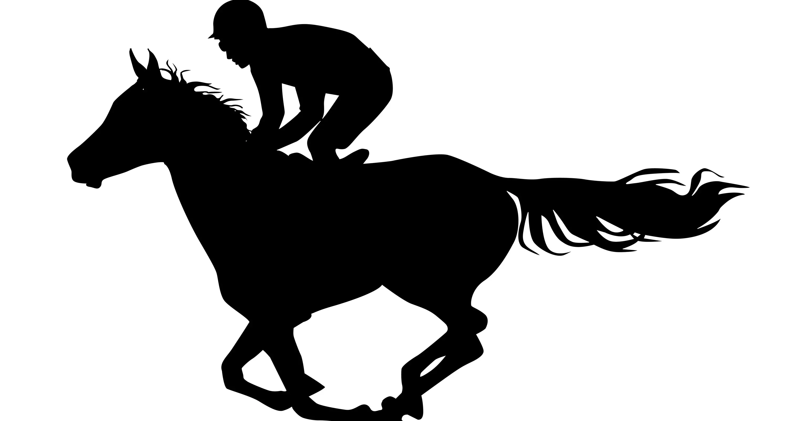 Wal's Angels wins at Bathurst RSL Soldiers Saddle