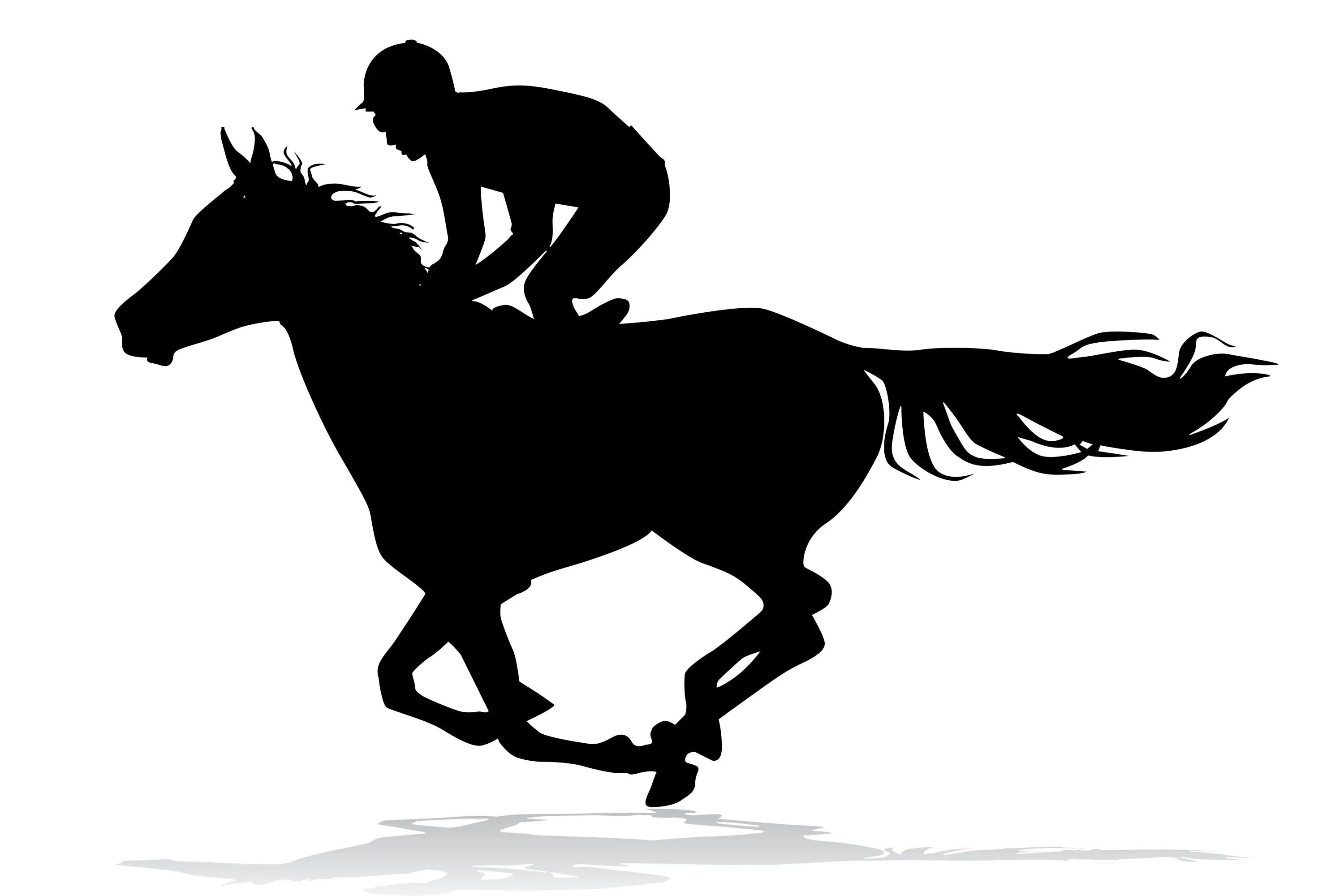 Wal's Angels wins at Bathurst RSL Soldiers Saddle