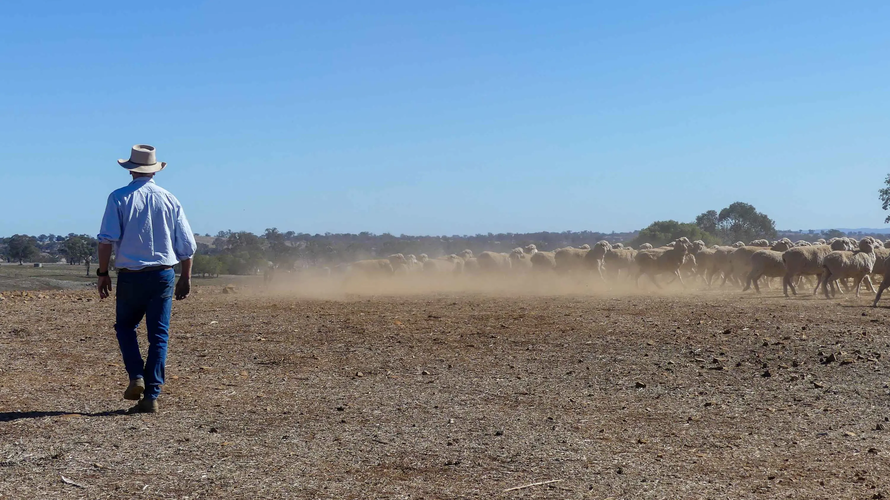 'Trying times': farmers stare down trifecta of troubles