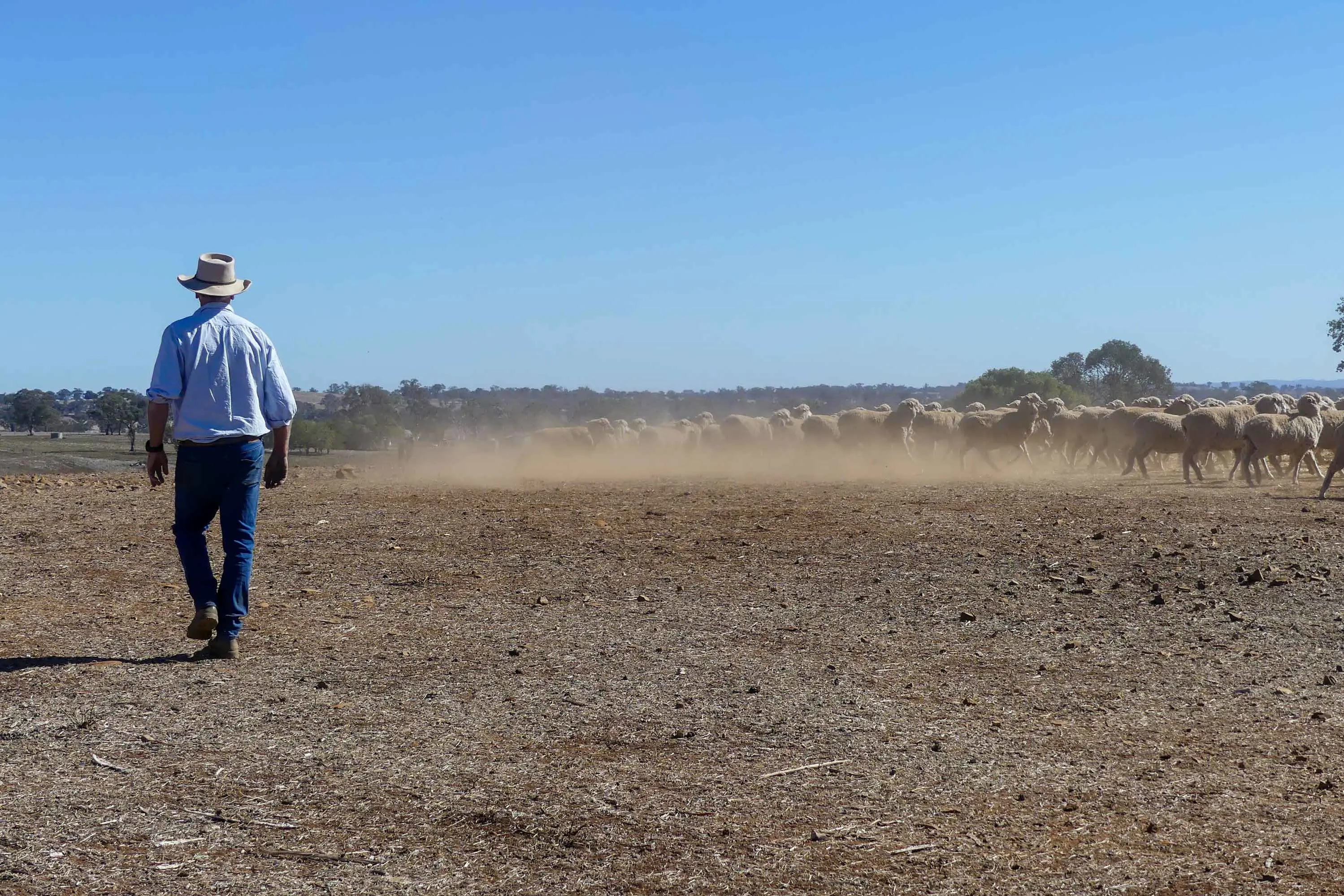<p>Farmers from east to west are facing a triple whammy as they enter the winter growing season. Photo: AAP</p>\\n