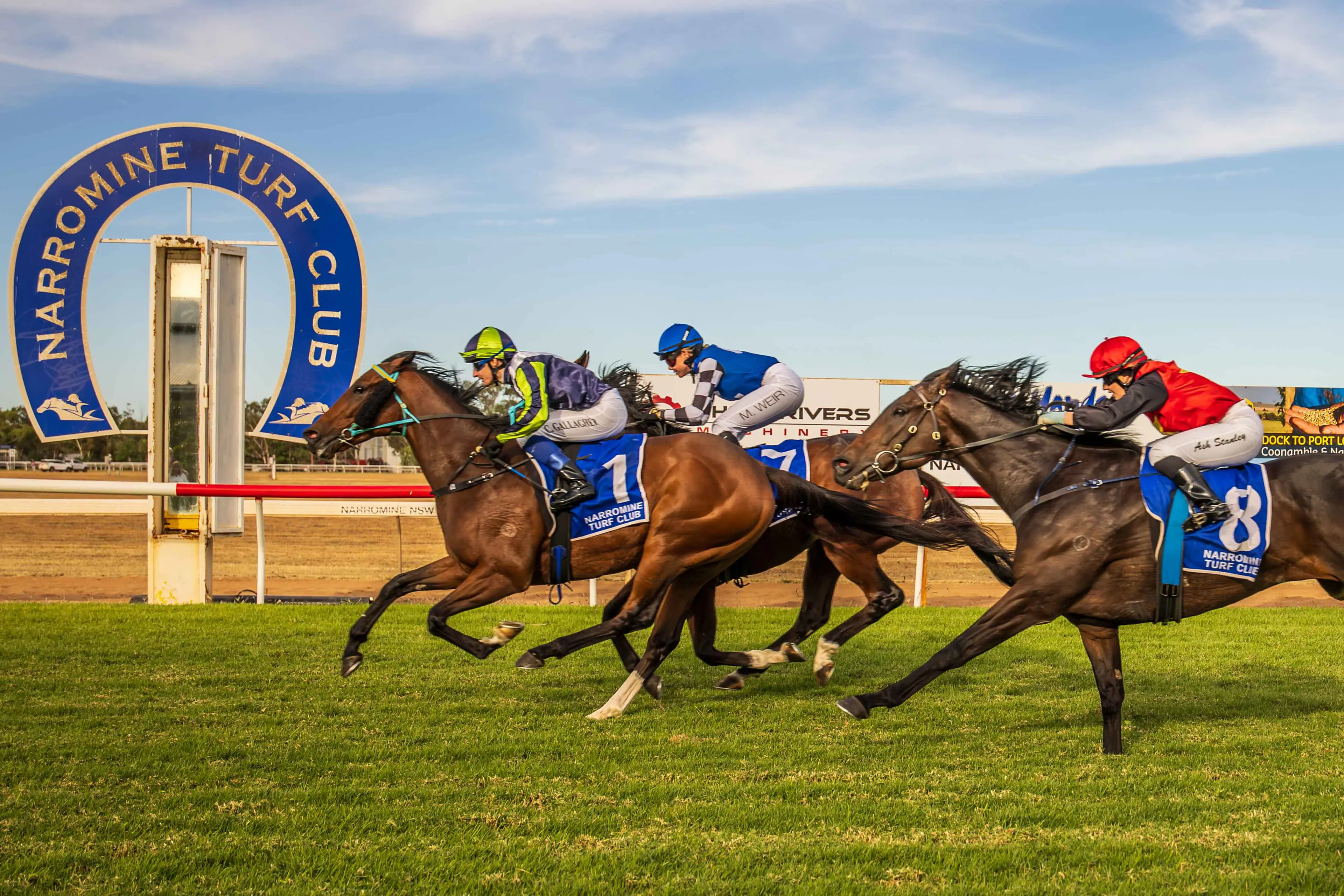 <p>Micro Mikki beat a handy field in the 1300 metres Narromine USMC Diggers Cup. Photo: racingphotography.com.au</p>\\n