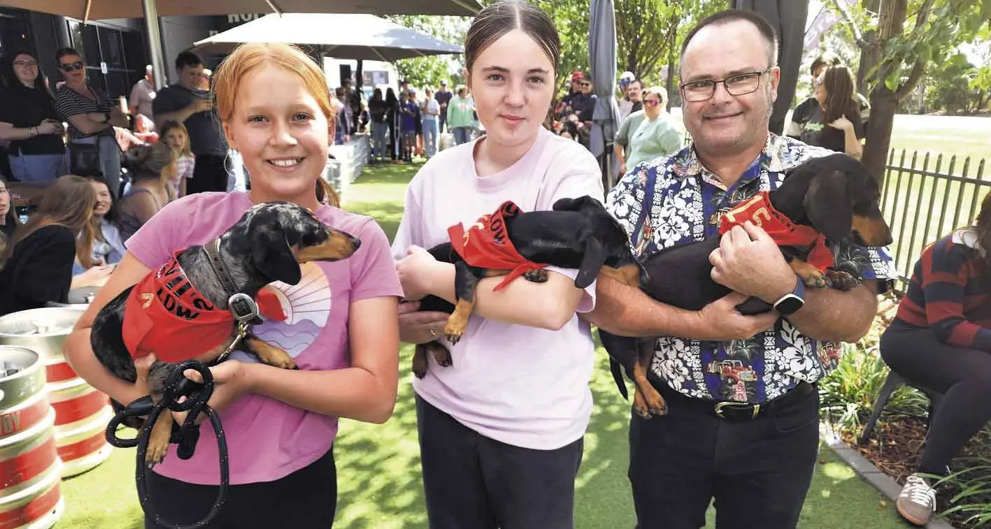 And the winner of the Dubbo Dachshund Dash is...?