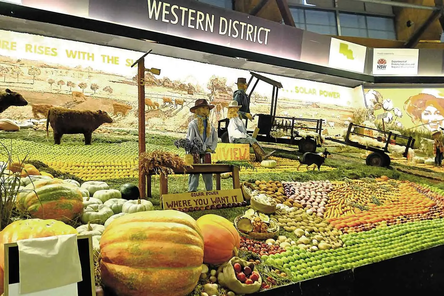 <p>Winning exhibit: Top prize for the Western region producer exhibition at the recent Royal Easter Show in Sydney is a year-round effort from the team who put the display together. Photo: Patrick Bourke.</p>\\n