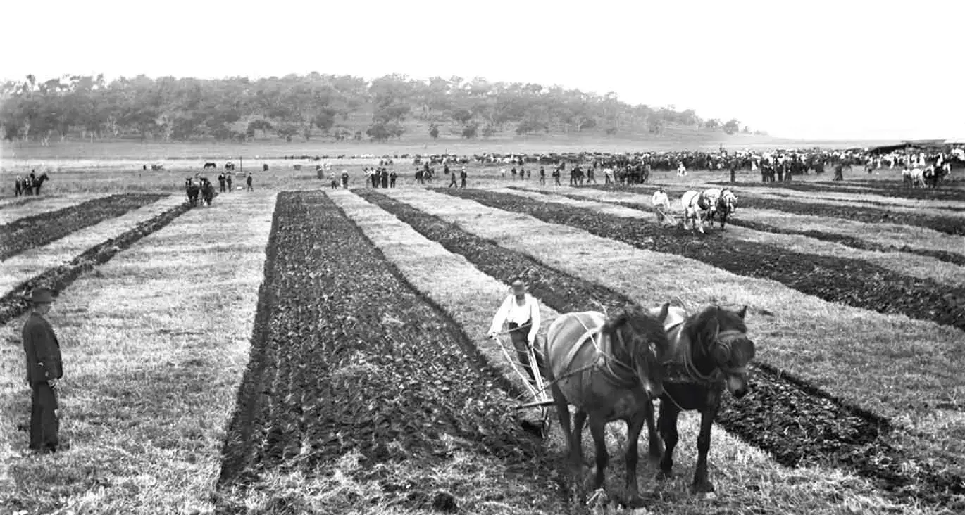 Ploughing comps a precursor for modern ag shows