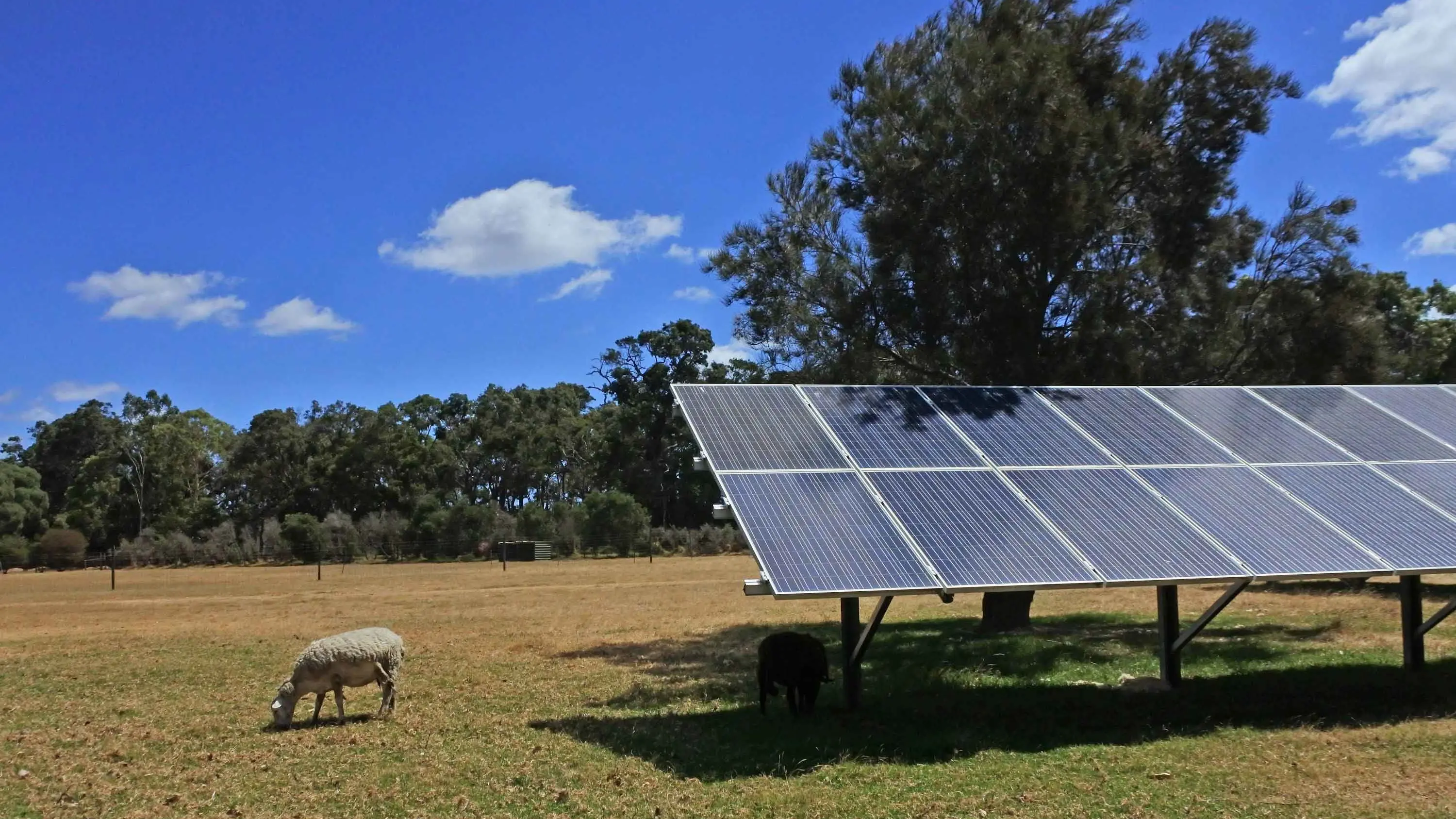 Sunny west’s solar use could save our farmland: Saunders