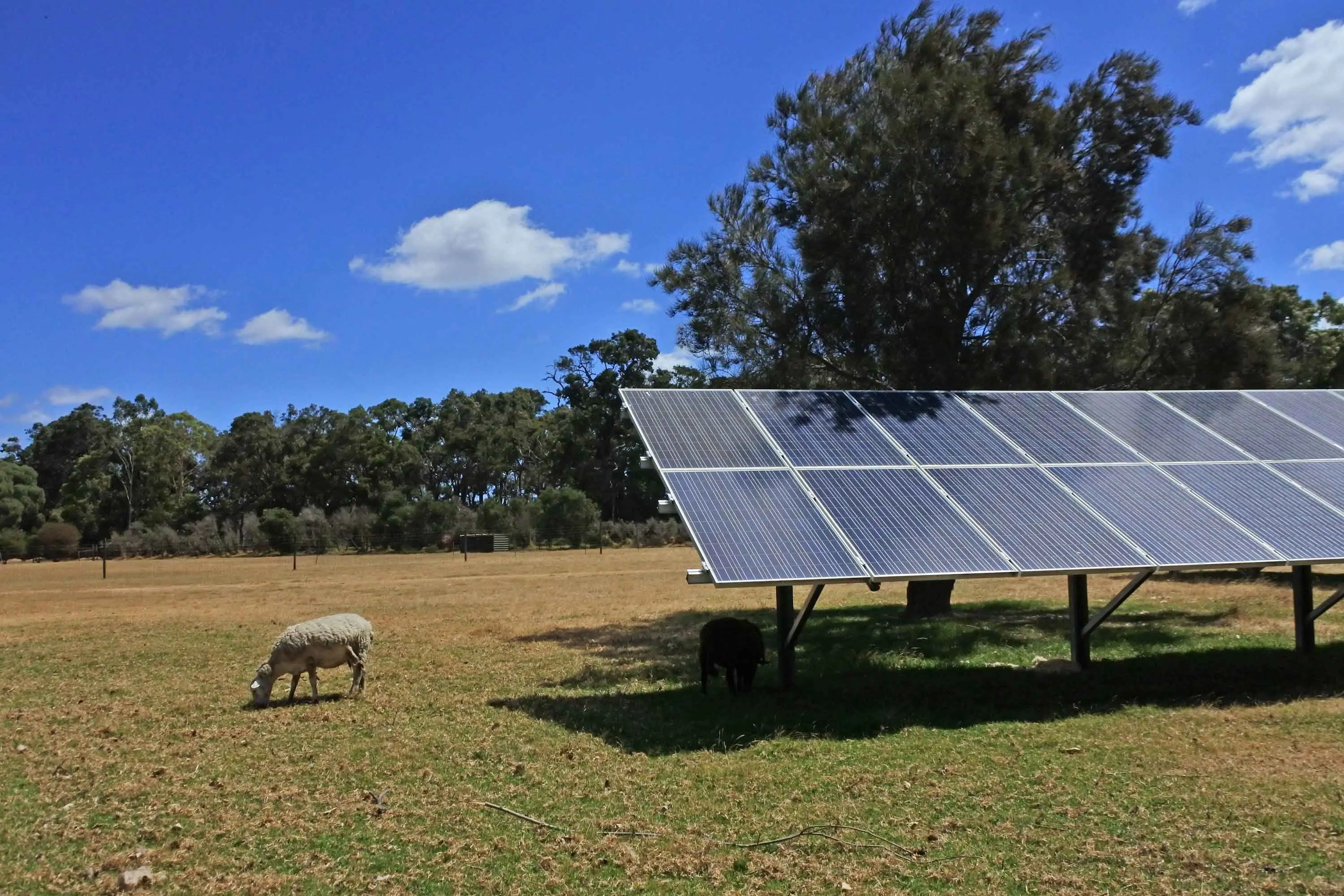 <p>News that Dubbo is one of the top 10 electorates in NSW for solar rooftop take up is no surprise to State MPs, Dugald Saunders and Roy Butler. Photo: Shutterstock</p>\\n