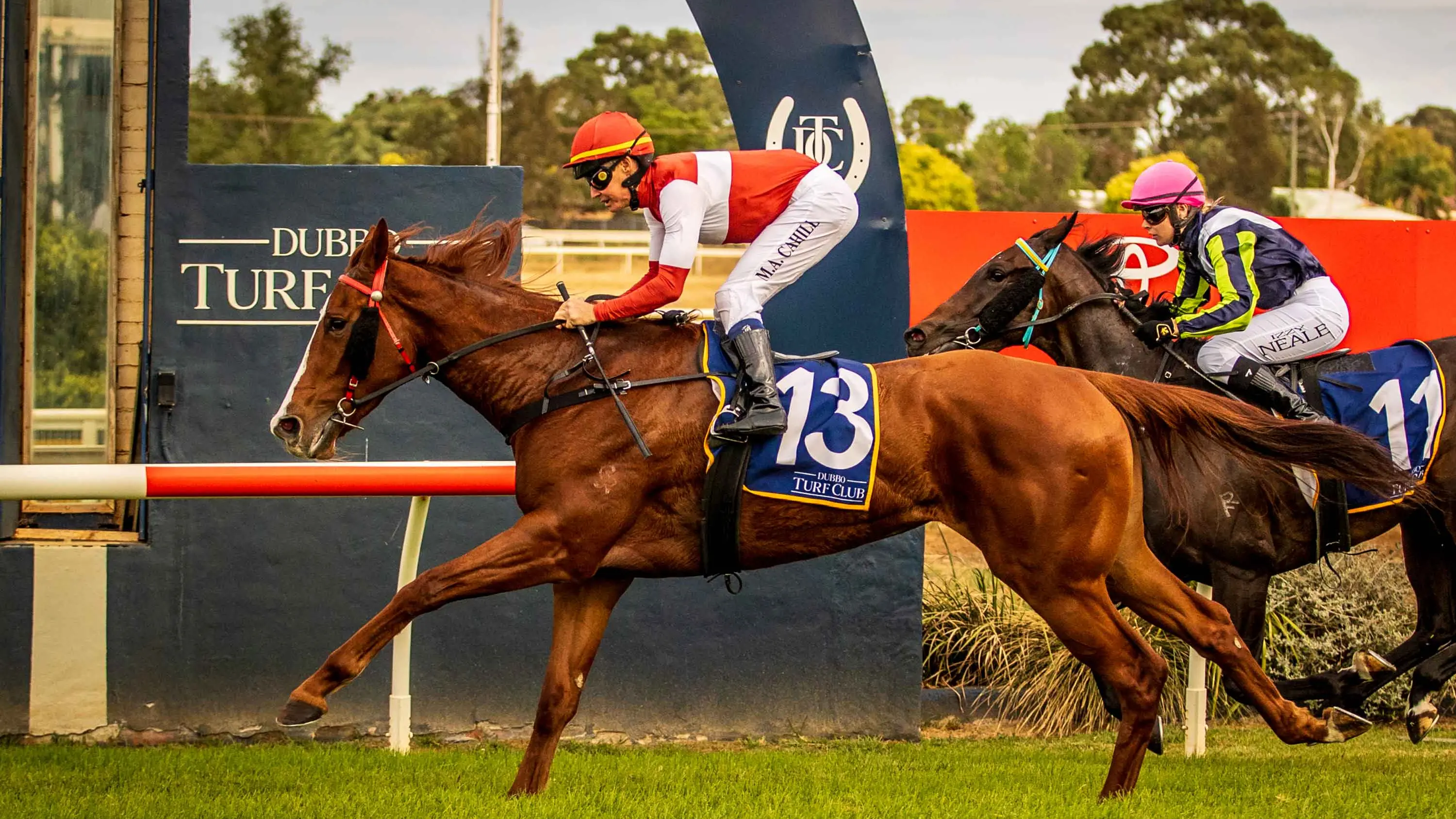 Rank outsider Yakamoz stuns with Dubbo victory