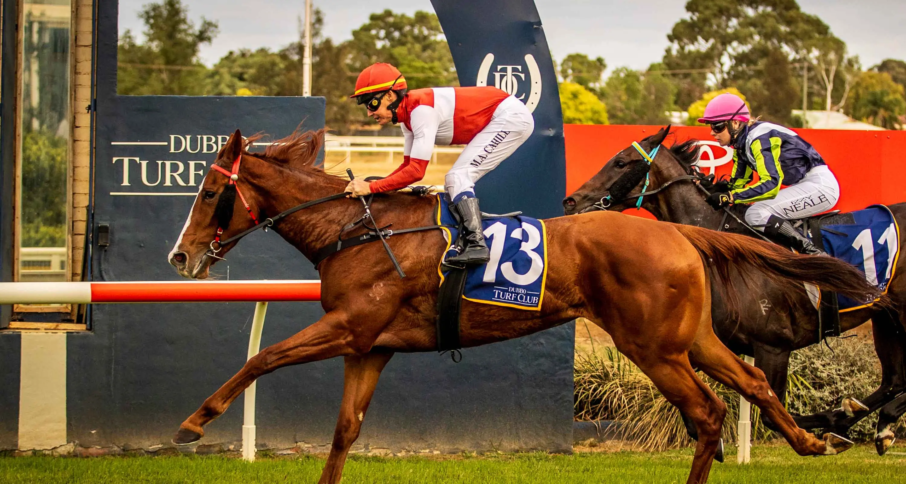 Rank outsider Yakamoz stuns with Dubbo victory