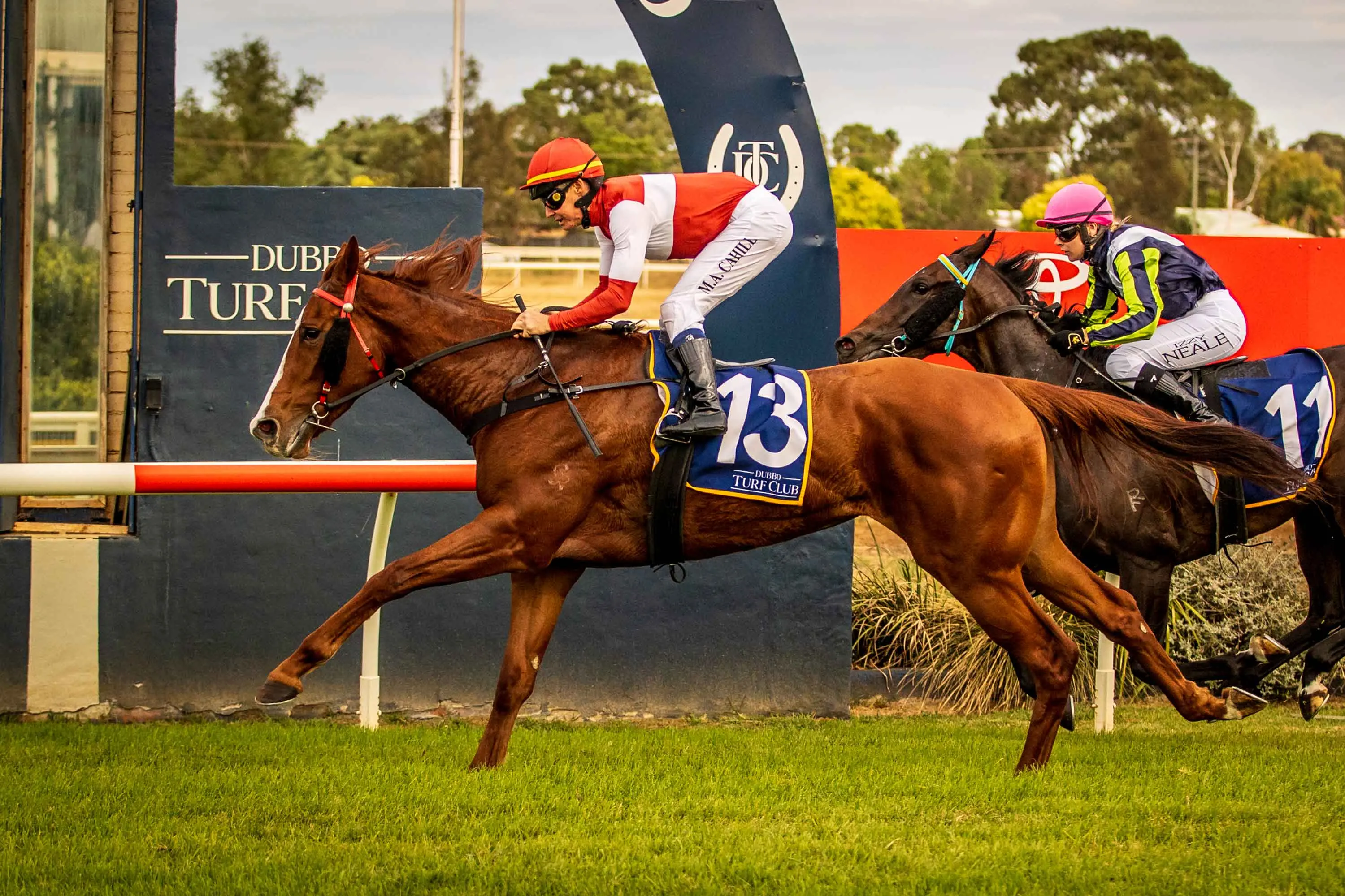 <p>Yakamoz was given a good run by Cowra jockey Mathew Cahill to win the $50,000 Totally Workwear-Super Maiden Plate at Dubbo on May 3. Photo: racingphotography.com.au</p>\\n