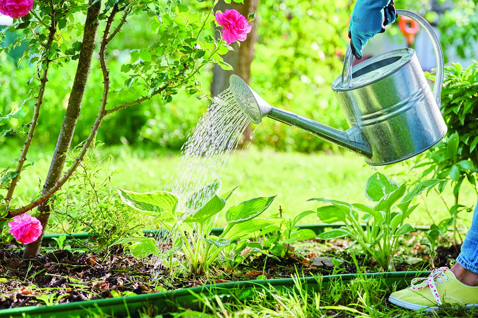 <p>The midday sun and heat cause water to evaporate before the plants benefit from it.</p>\\n