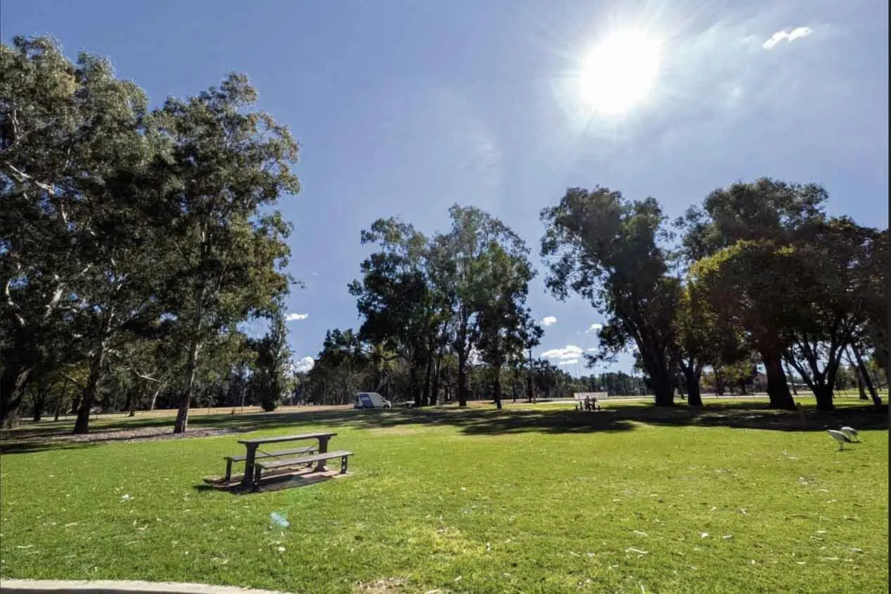 <p>Look elsewhere, Macquarie Lions Park Street is undergoing staged River Red Gum rejuvenation work with major events banned at the site. Photo: Supplied</p>\\n