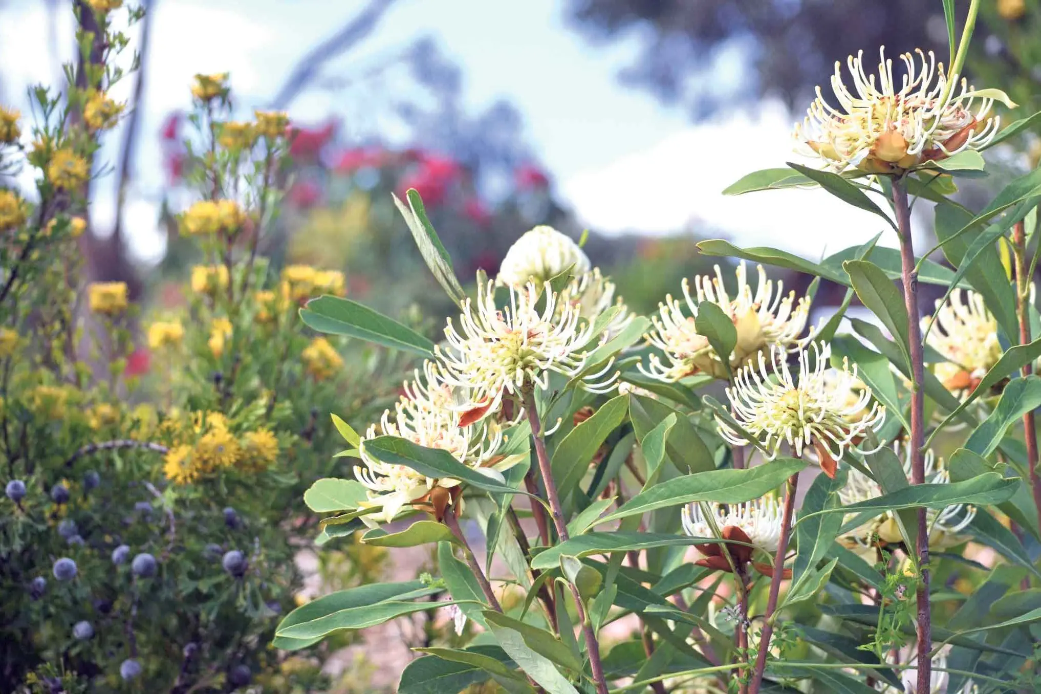 <p>Homeowners are being inspired by environmental concerns to create outdoor spaces thoughtfully nurtured to balance beauty, functionality and environmental care. Photo: Bigstockphoto</p>\\n
