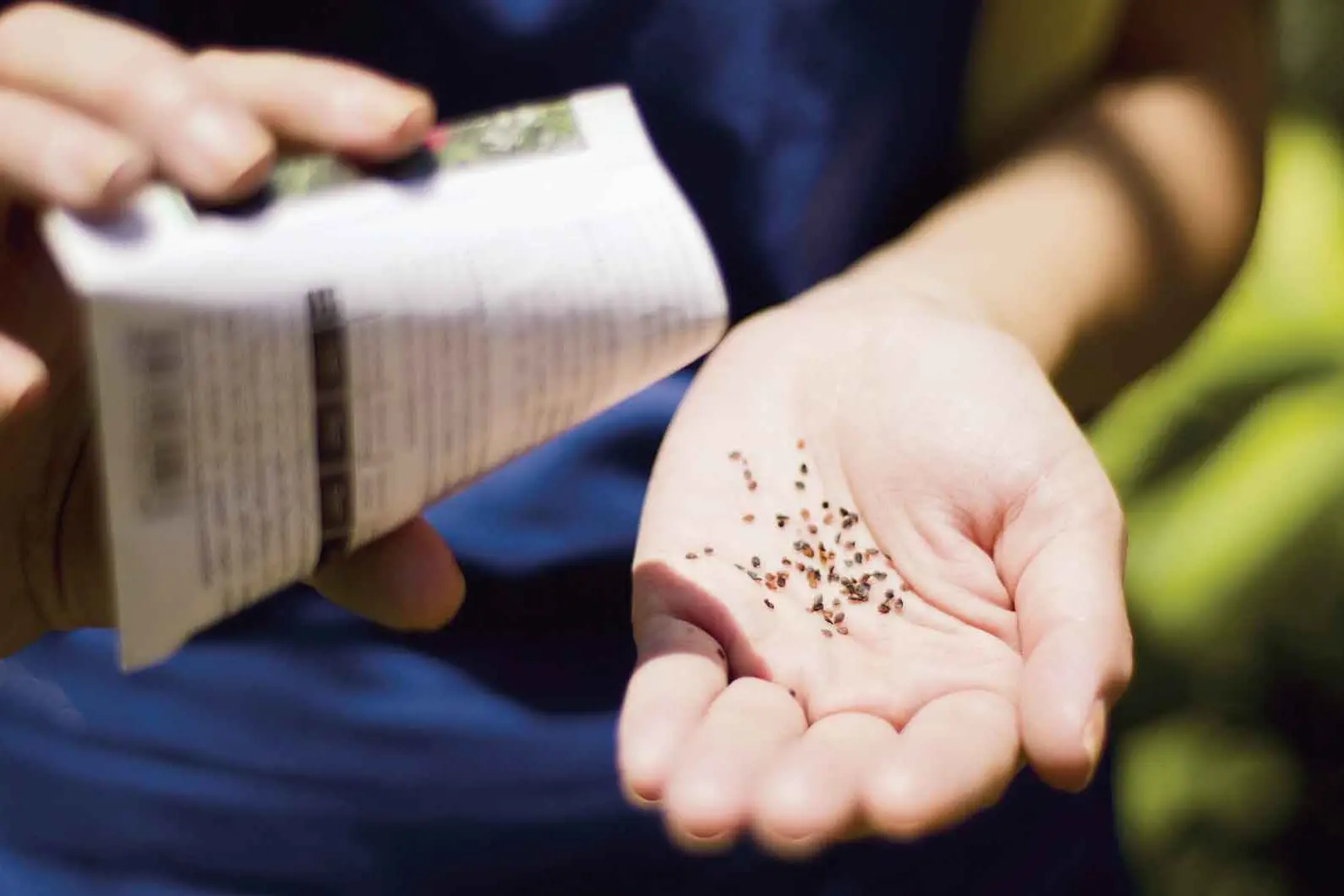 Seed packet labels hold the key to a successful backyard harvest