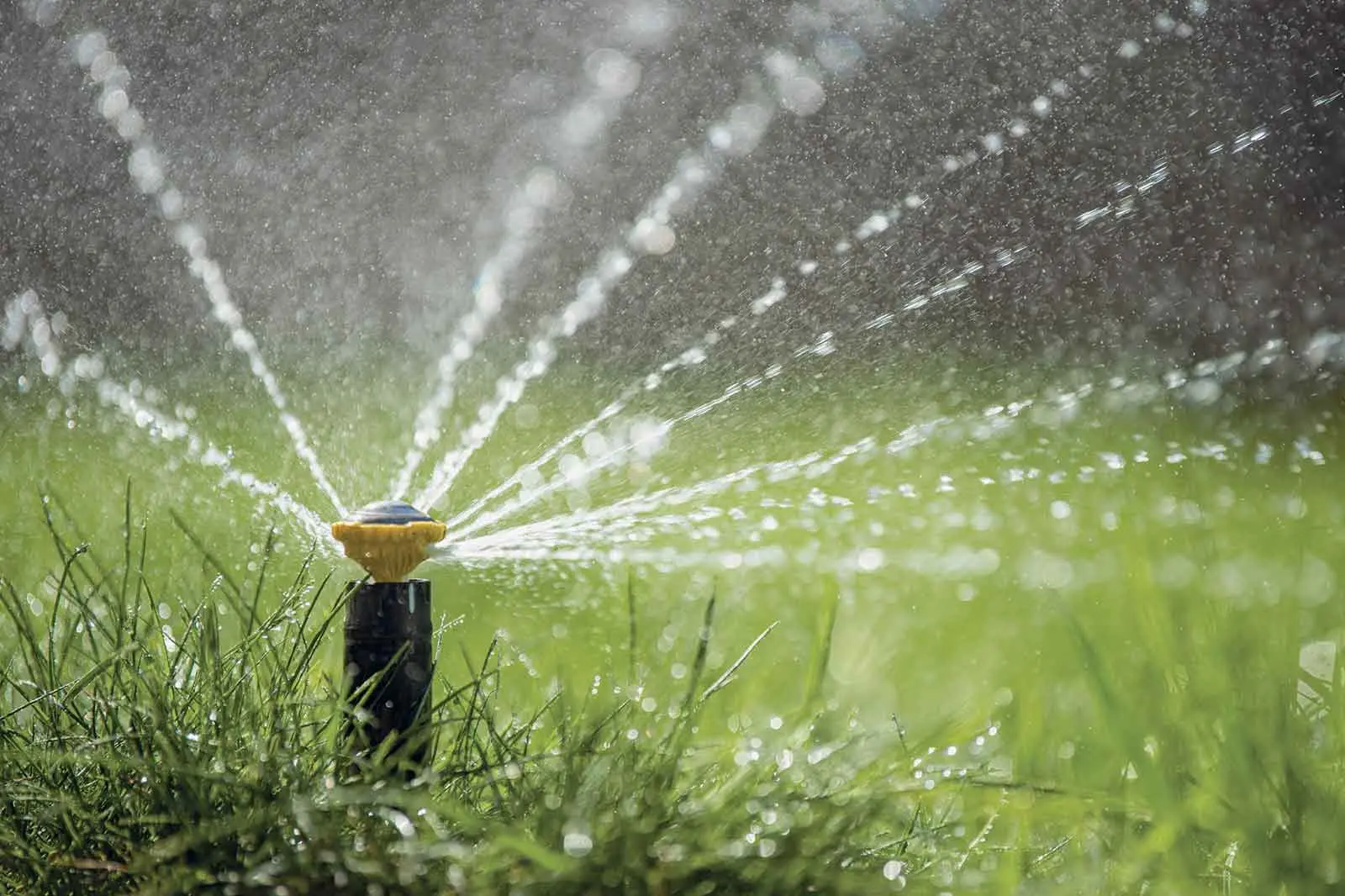 <p>Landscapers say climate-conscious garden design is becoming less of a trend and more of a necessity as Australians adapt to increasingly unpredictable weather conditions.</p>\\n