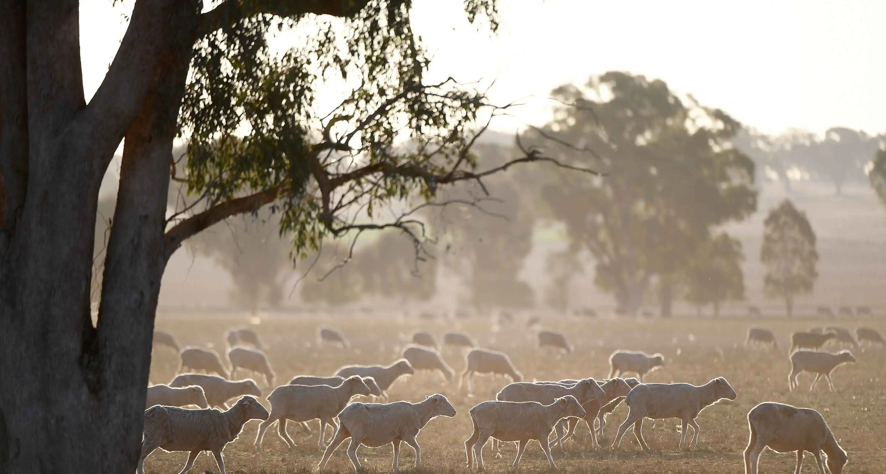 Watchdog flooded with complaints as dry spell persists