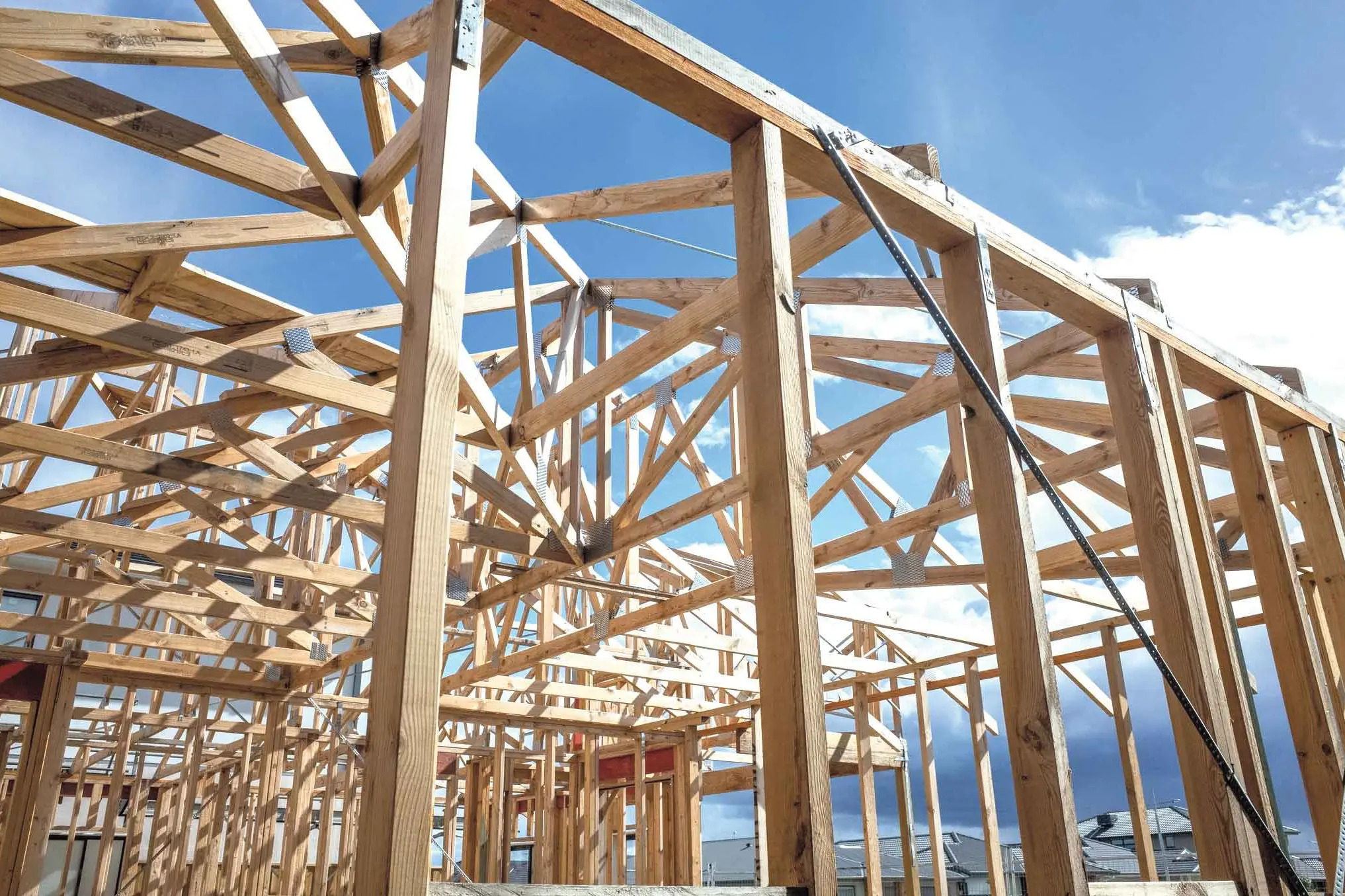 First-home buyers moving into new builds as competition eases, builder says