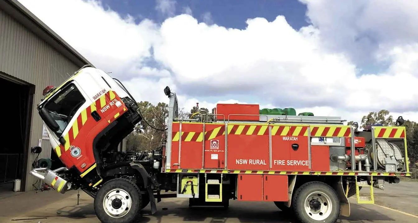 Removal of “archaic” RFS repair burden a boon for council, as tree report looks at a growing problem
