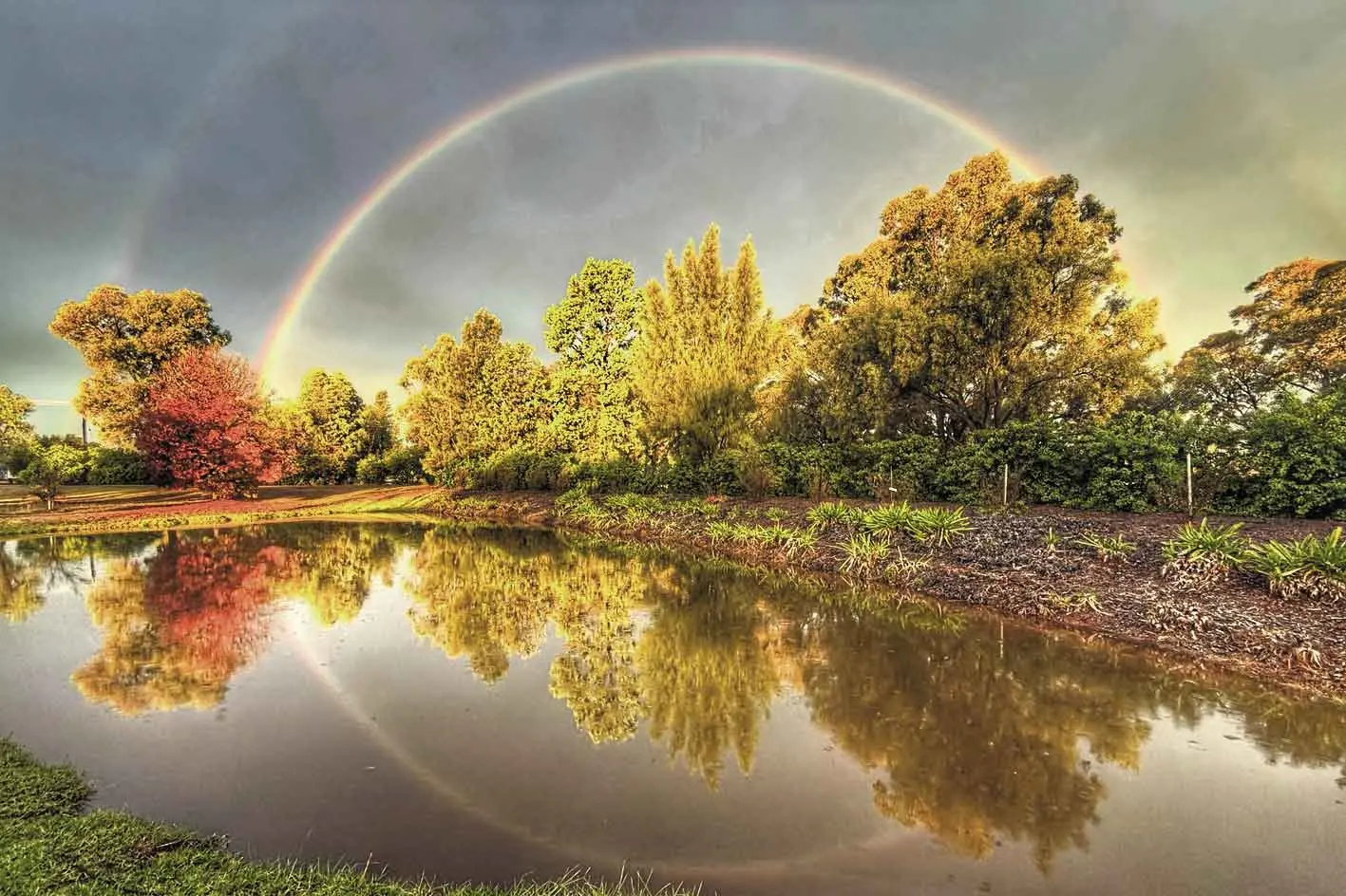 <p>Snapped during the time between showers on May 26, 2026, Mike has captured a beautiful rainbow over Firgrove. Photos: M Anderson.</p>\\n
