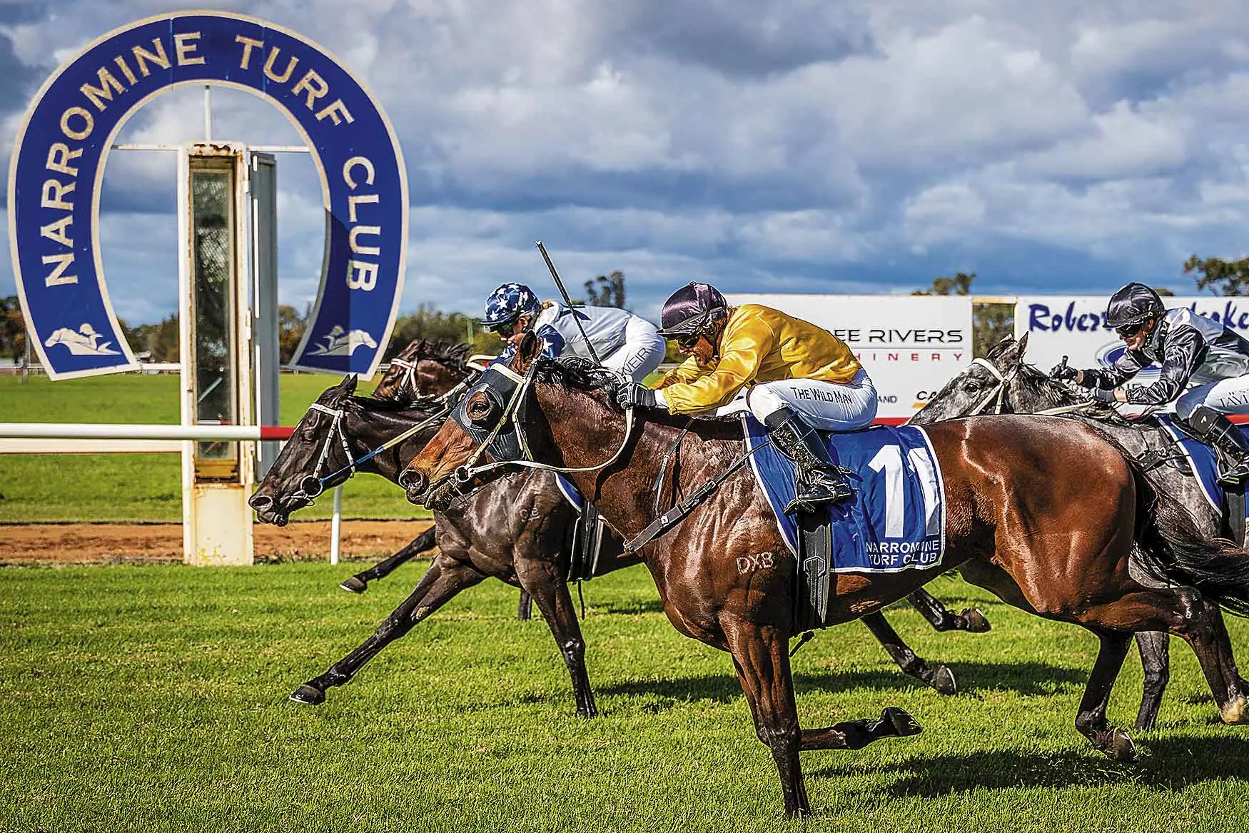 <p>Go Baby surprised when winning at Narromine for local trainer Kylie Kennedy. Photos: racingphotography.com.au</p>\\n