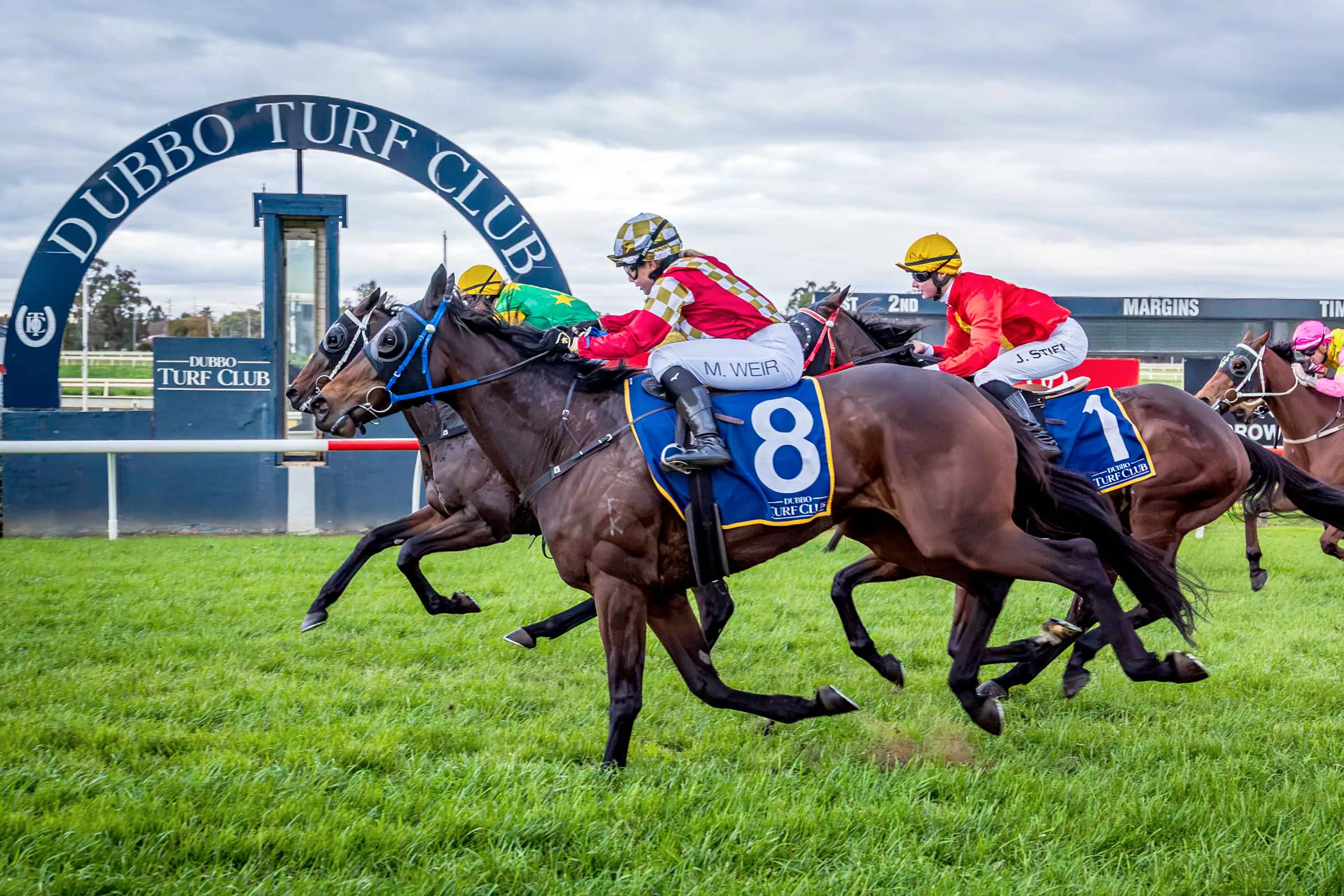 <p>Yiasou and Jamacri shared a dead heat for first in the final race at Dubbo on Sunday, June 28. Photo: racingphotography.com.au</p>\\n
