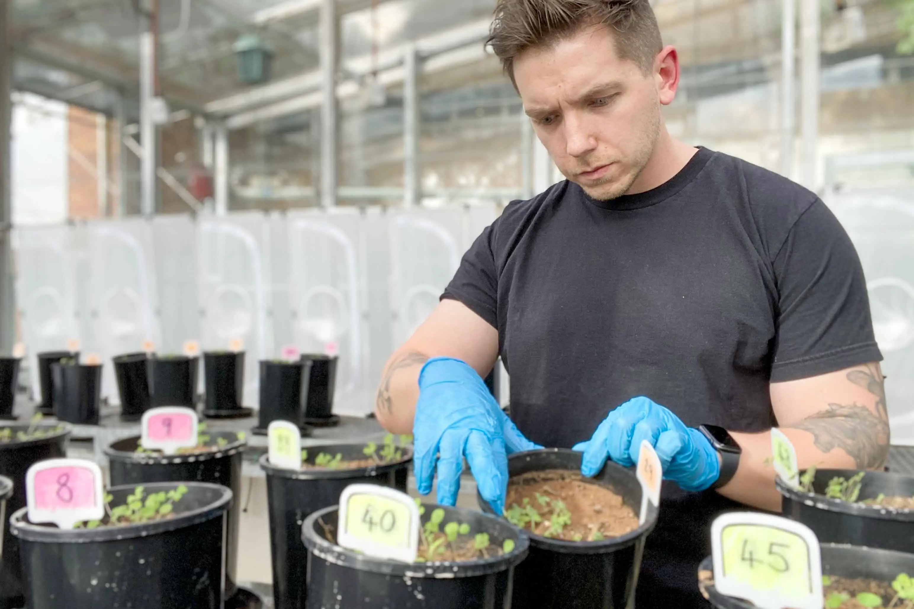<p>Adam Frew says farmers could reap the rewards from cutting fertiliser costs through fungi. Photo: AAP/Supplied</p>\\n