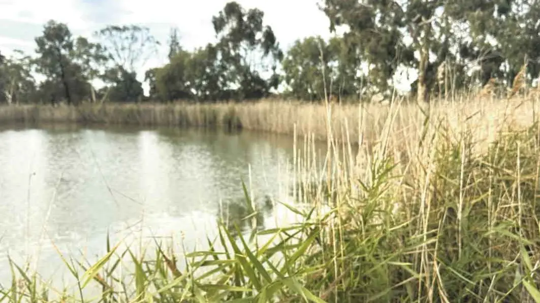 Free \"Rock On\" art workshop a loveletter to the wetlands