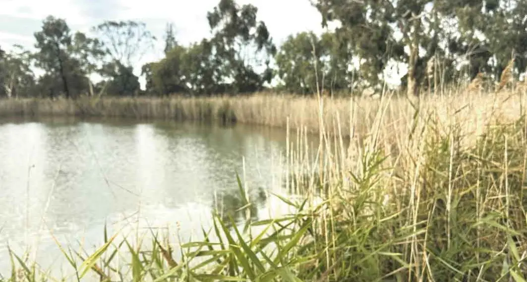 Free \"Rock On\" art workshop a loveletter to the wetlands