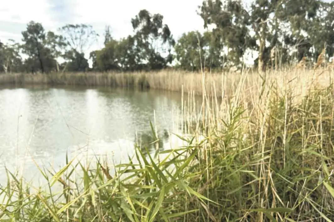 Free \"Rock On\" art workshop a loveletter to the wetlands