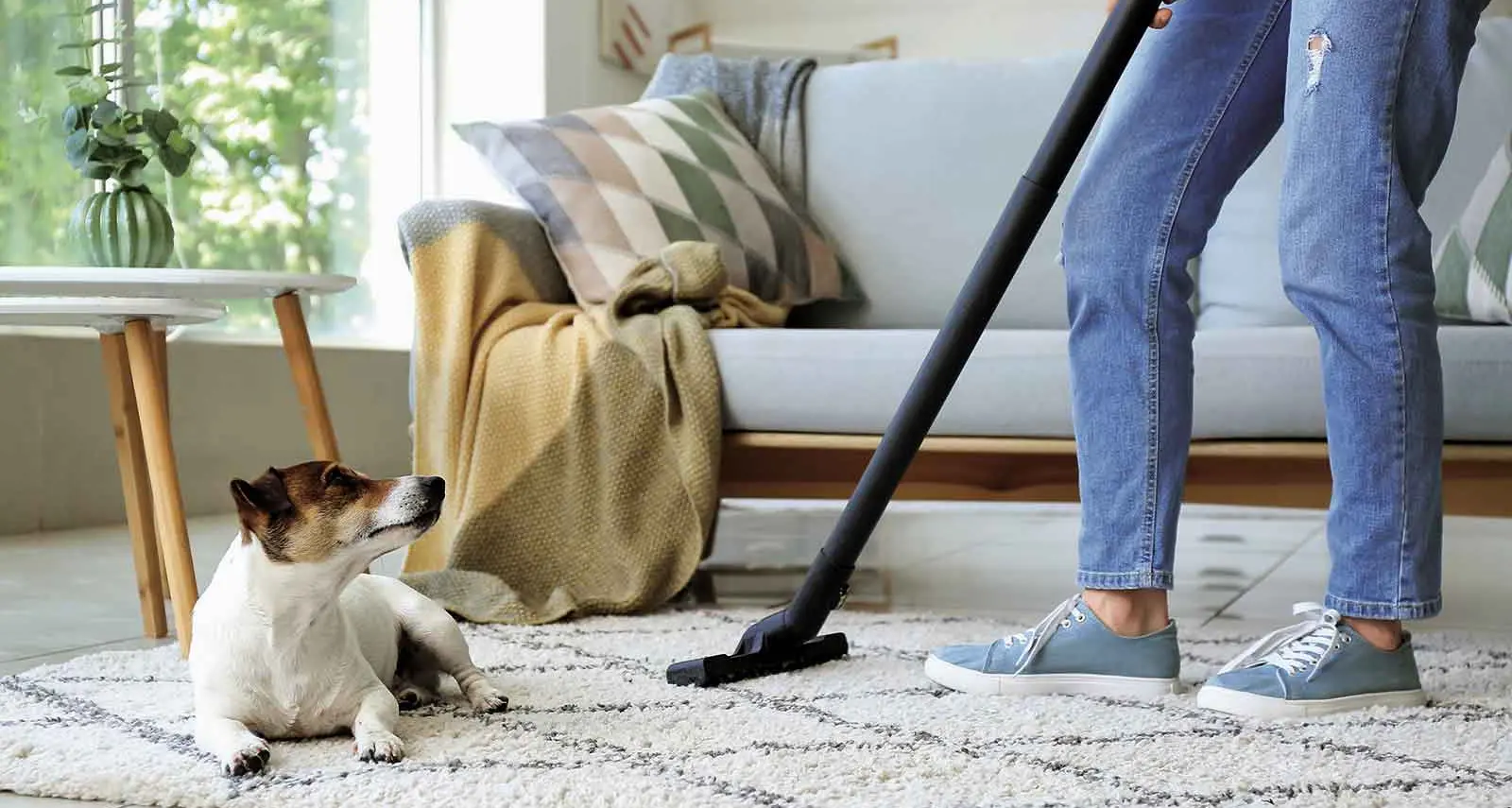 How home-sellers with pets can prepare for inspections